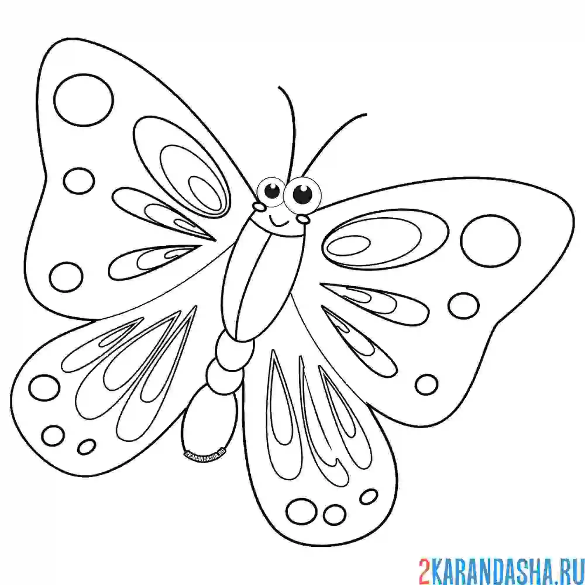Раскраска бабочка по кличке 