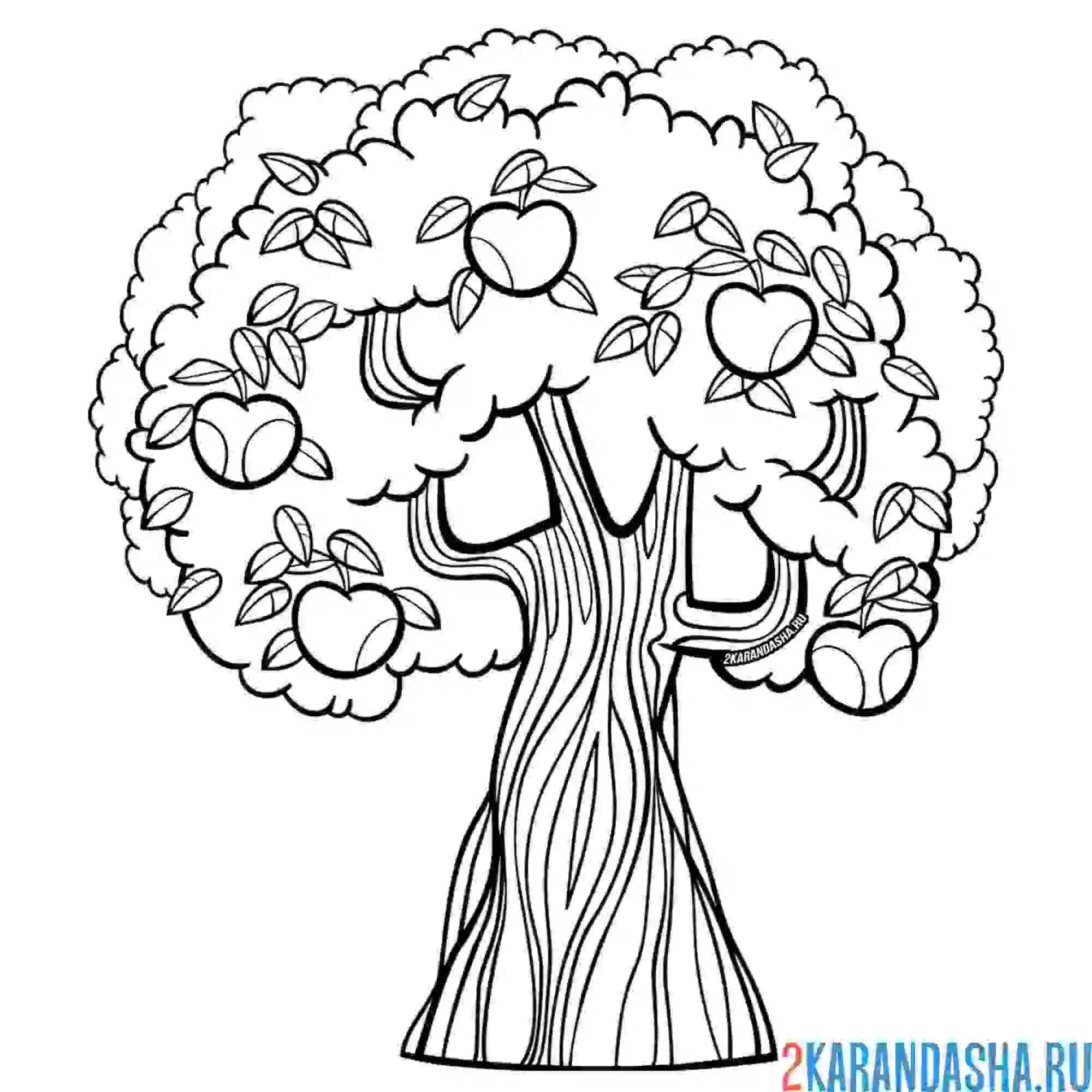 Раскраска раскраски дерево природа