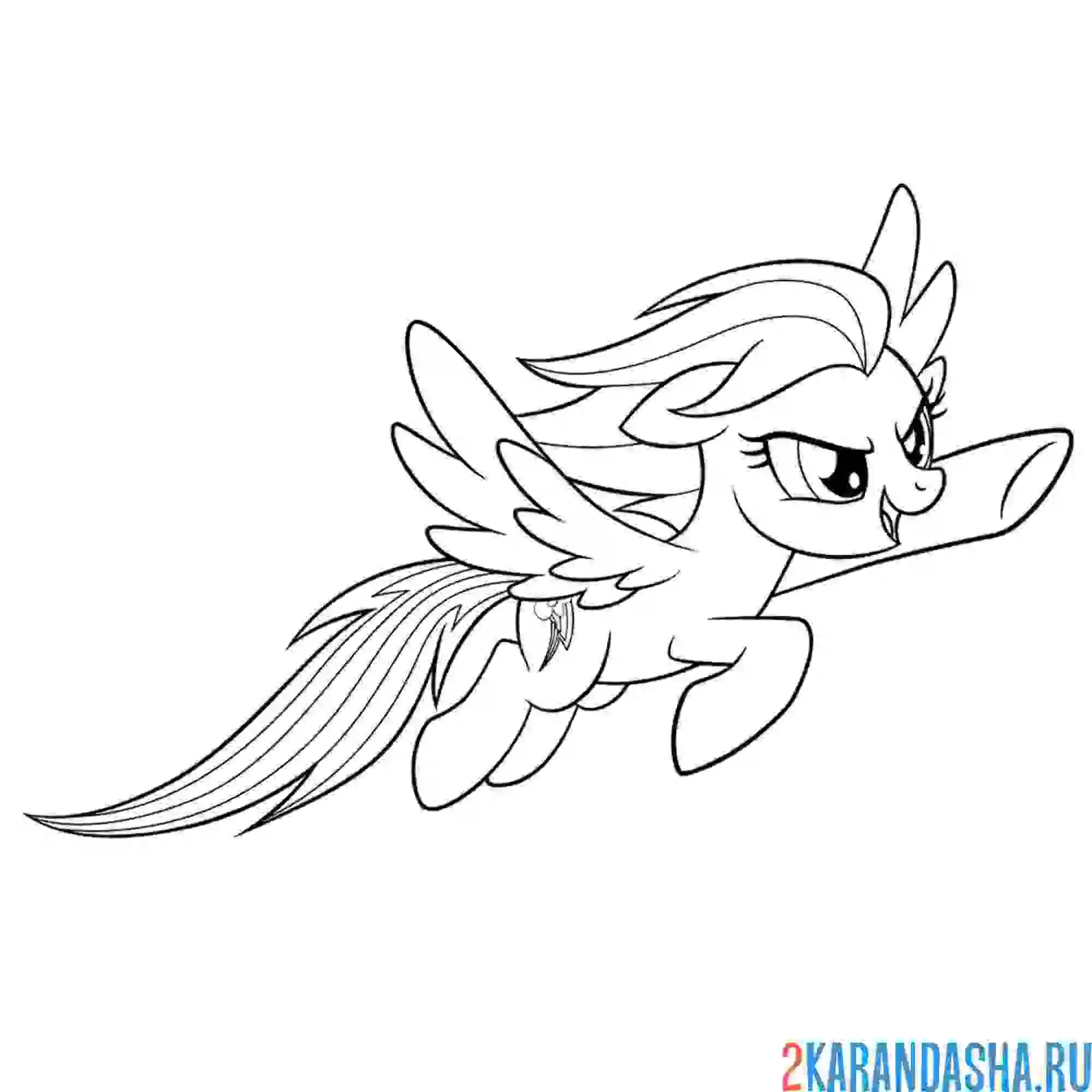Раскраска радуга дэш девочка пони