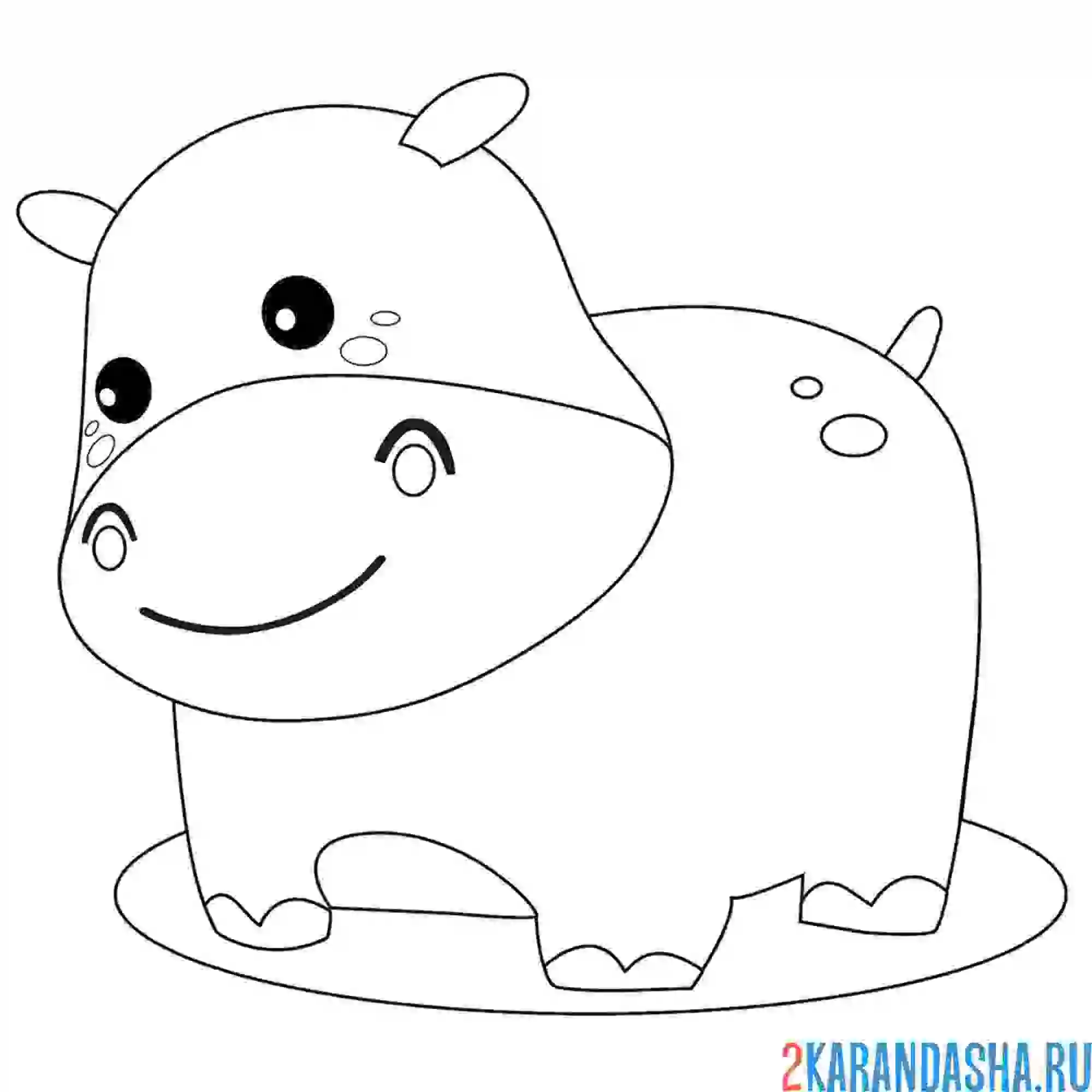 Раскраска бегемотик в лужице