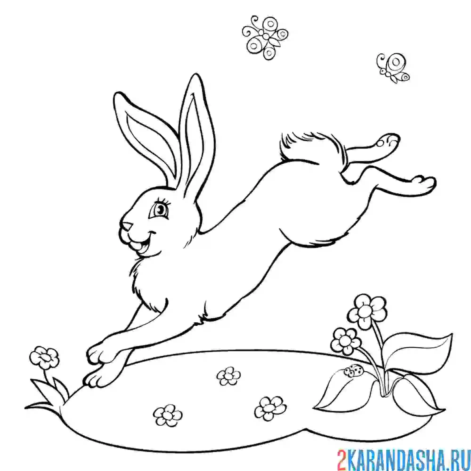 Раскраска весенний зайчик