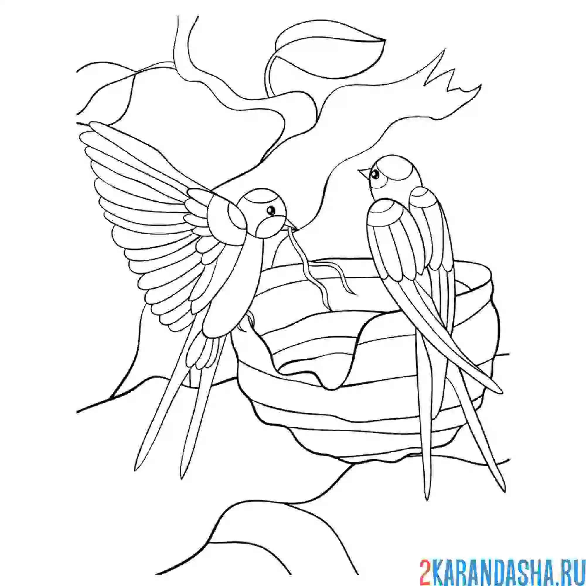 Раскраска птицы вьют гнезда
