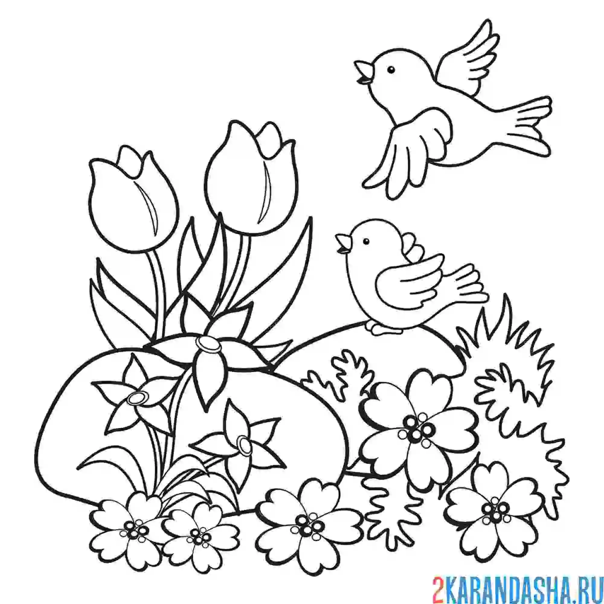 Раскраска весенний пейзаж с птичкой