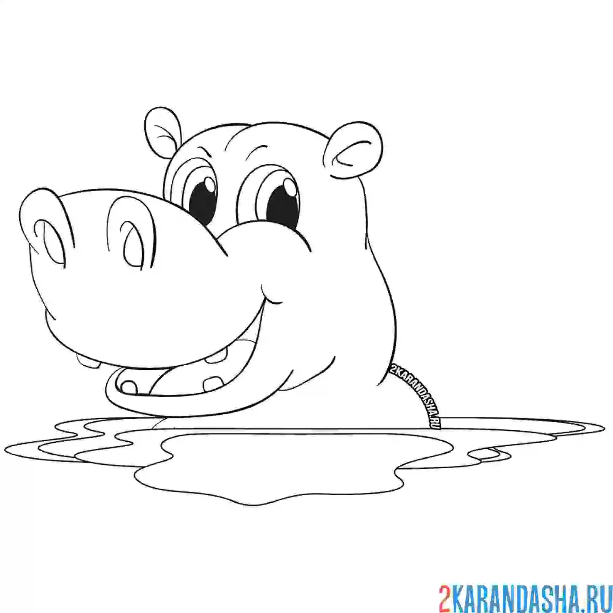 Раскраска бегемотик сидит в воде