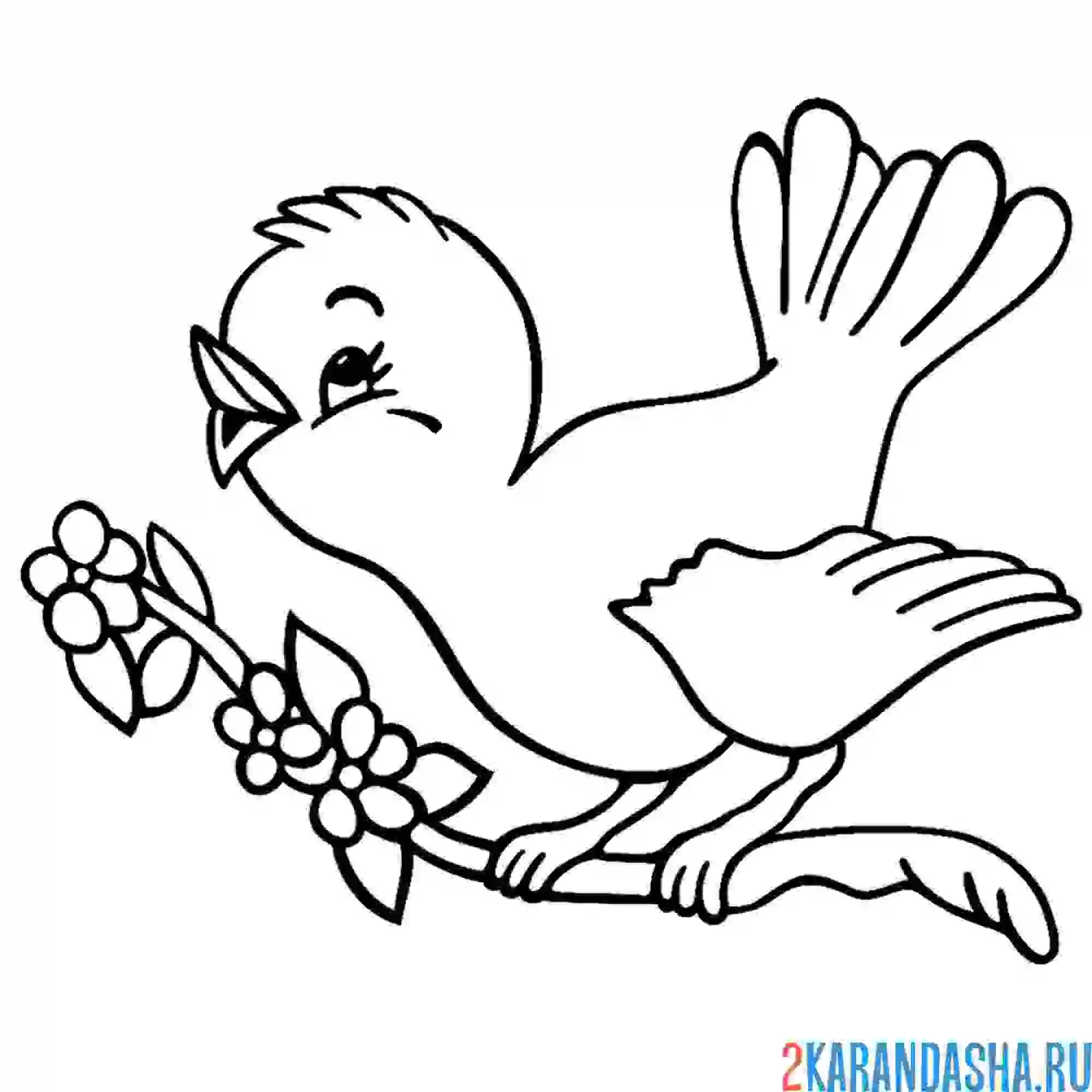 Раскраска птичка на цветущей ветке