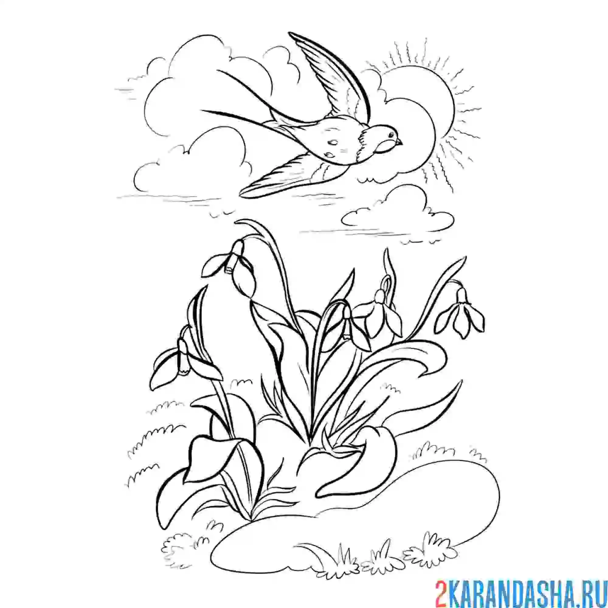 Раскраска ласточка и поле подснежников