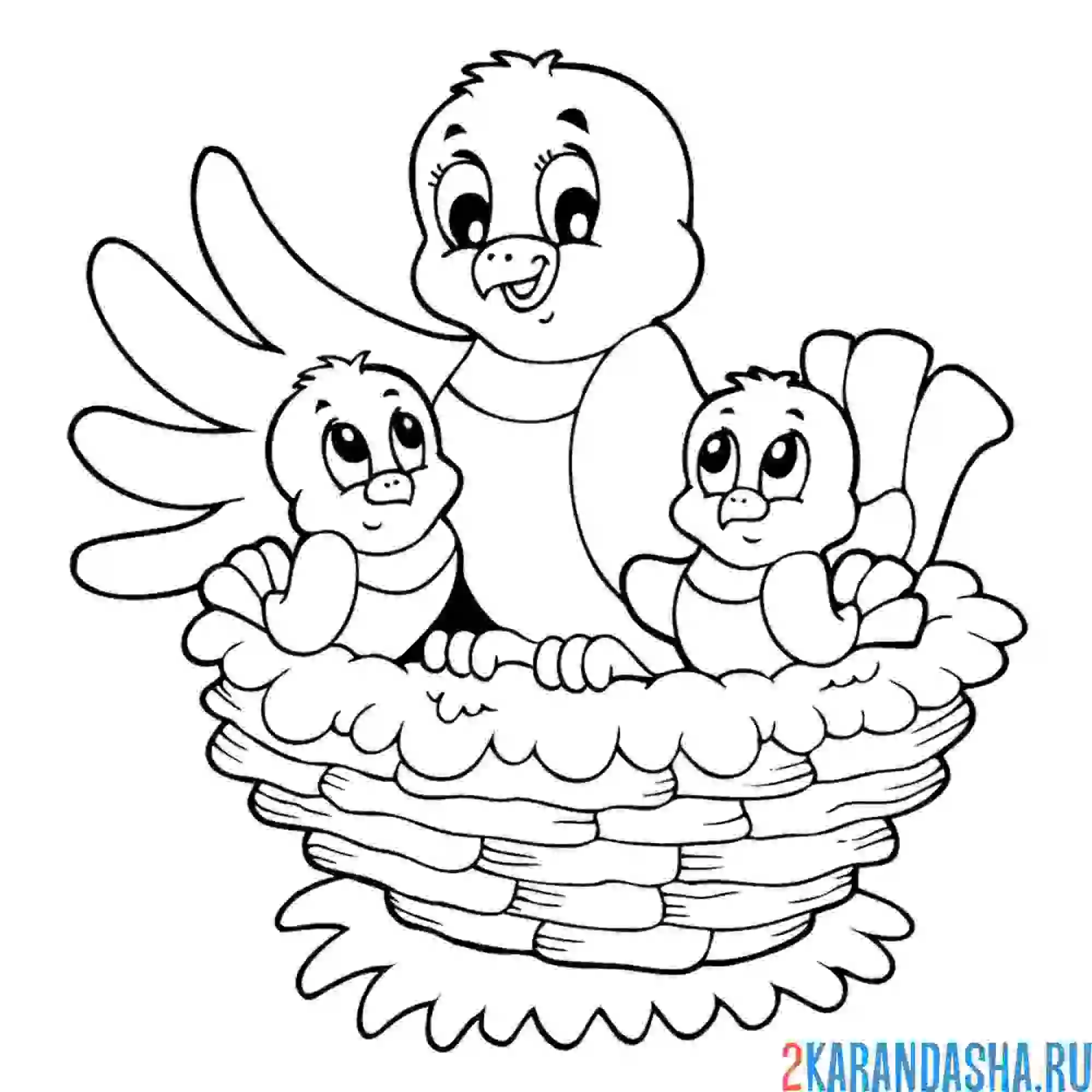 Раскраска мама птичка и птенцы