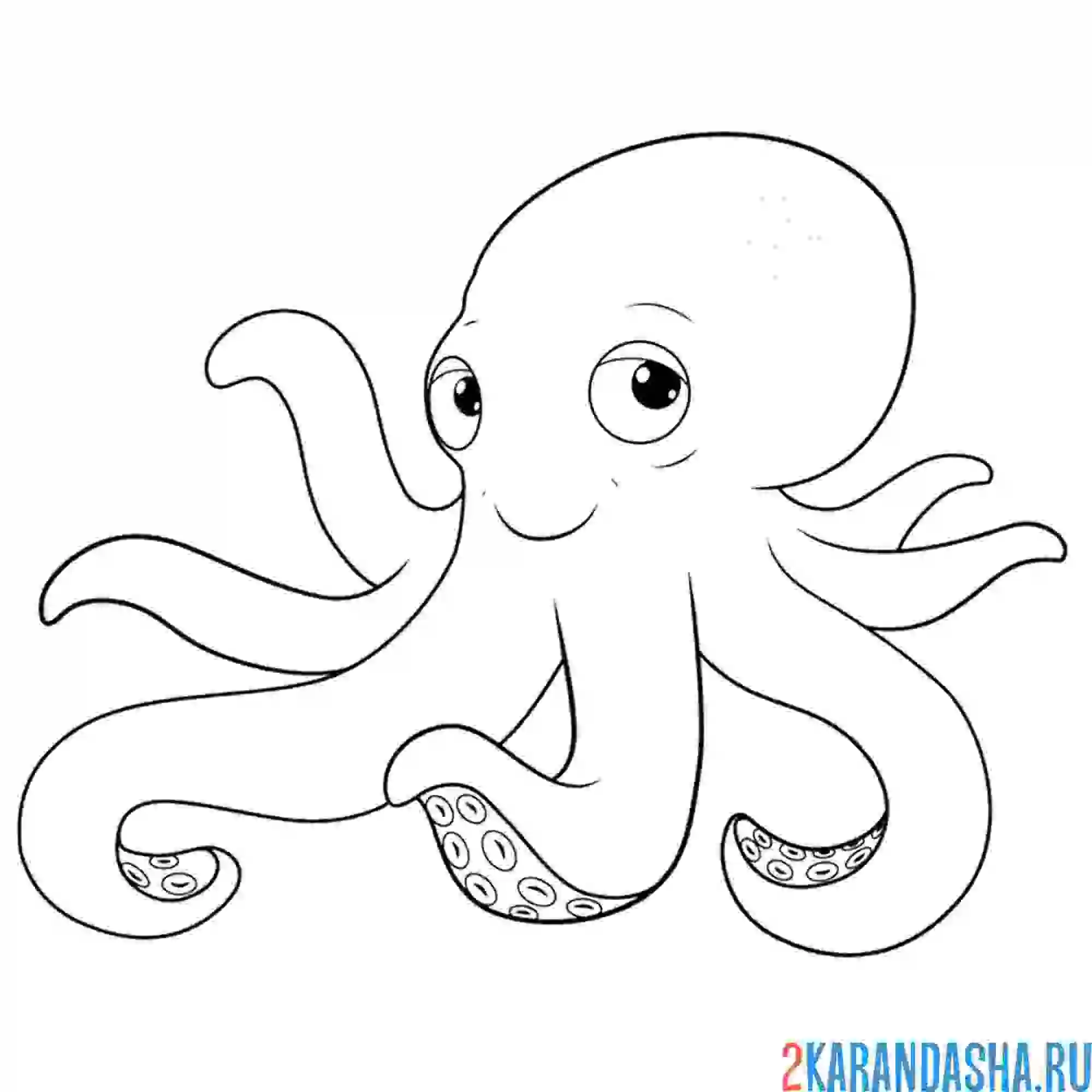 Раскраска осьминог