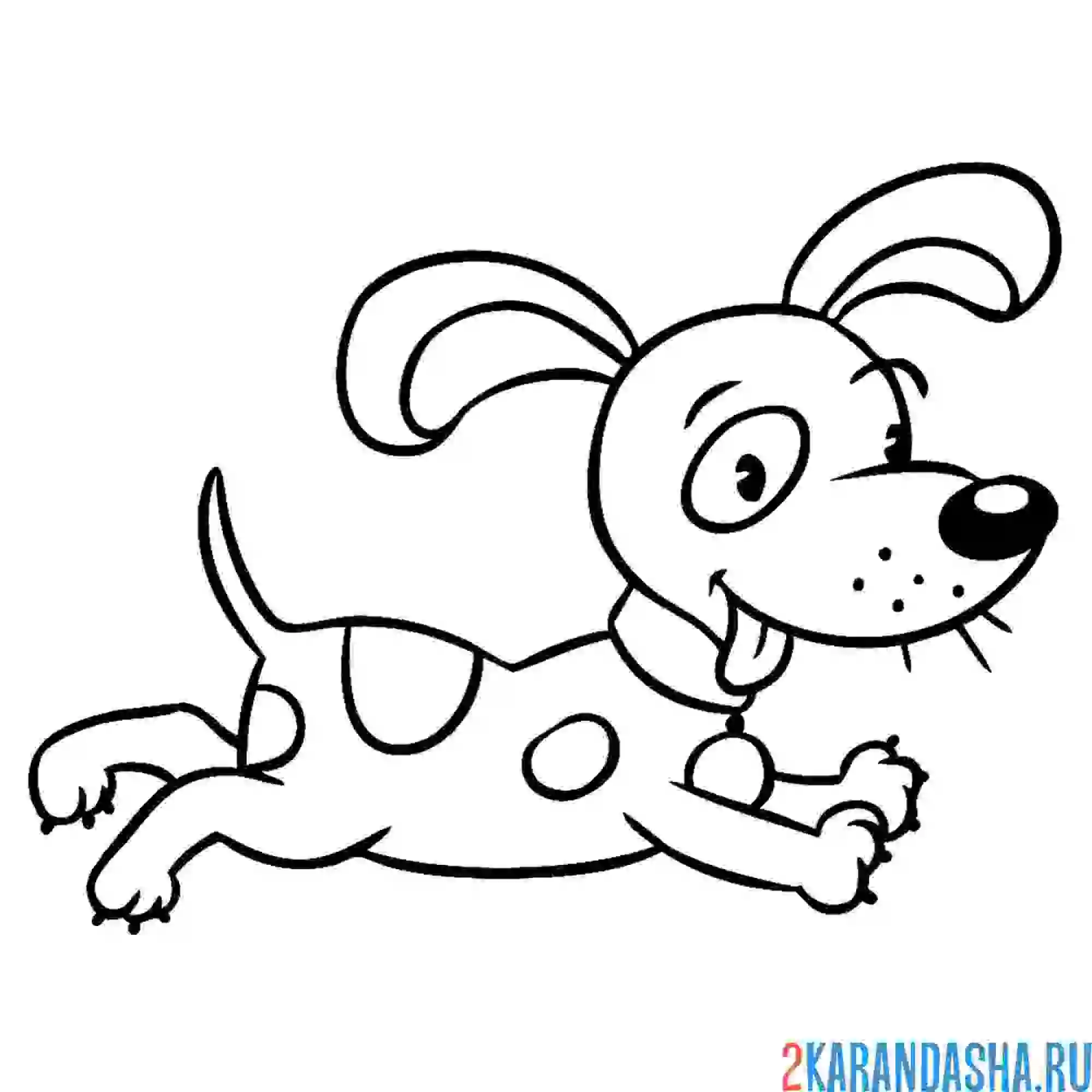 Раскраска милая собачка такса