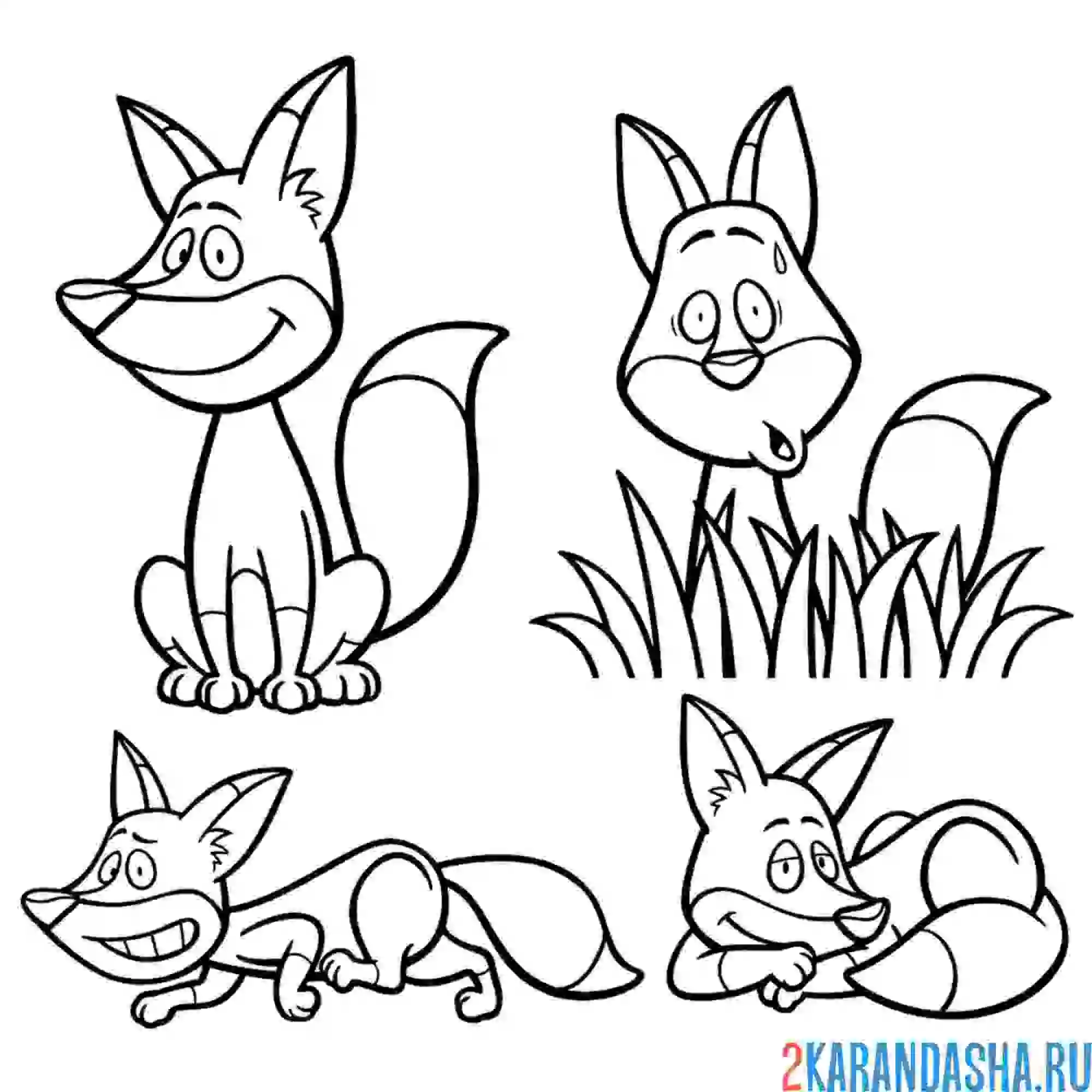 Раскраска забавная лиса