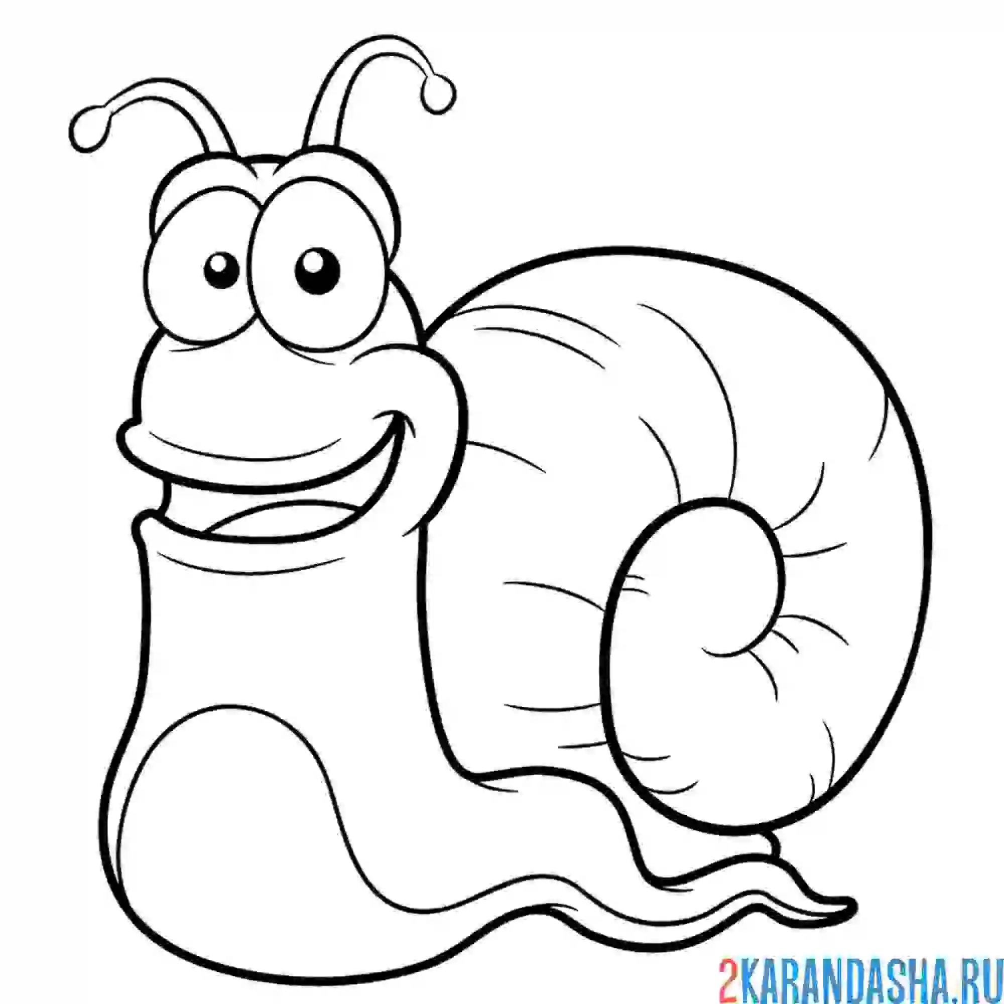 Раскраска улитка