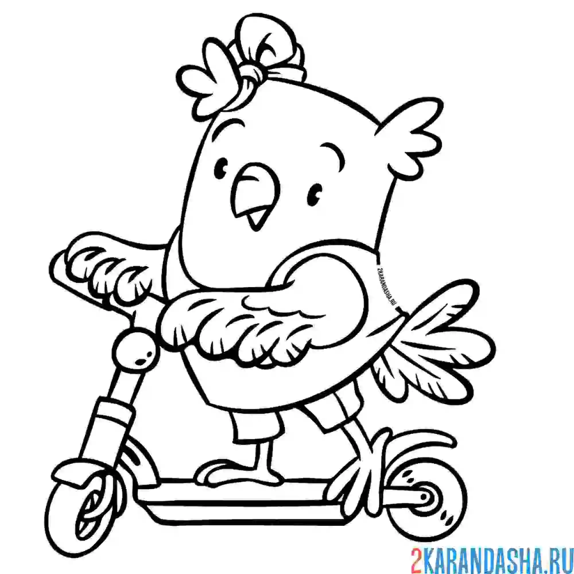 Раскраска сова на скейтборде