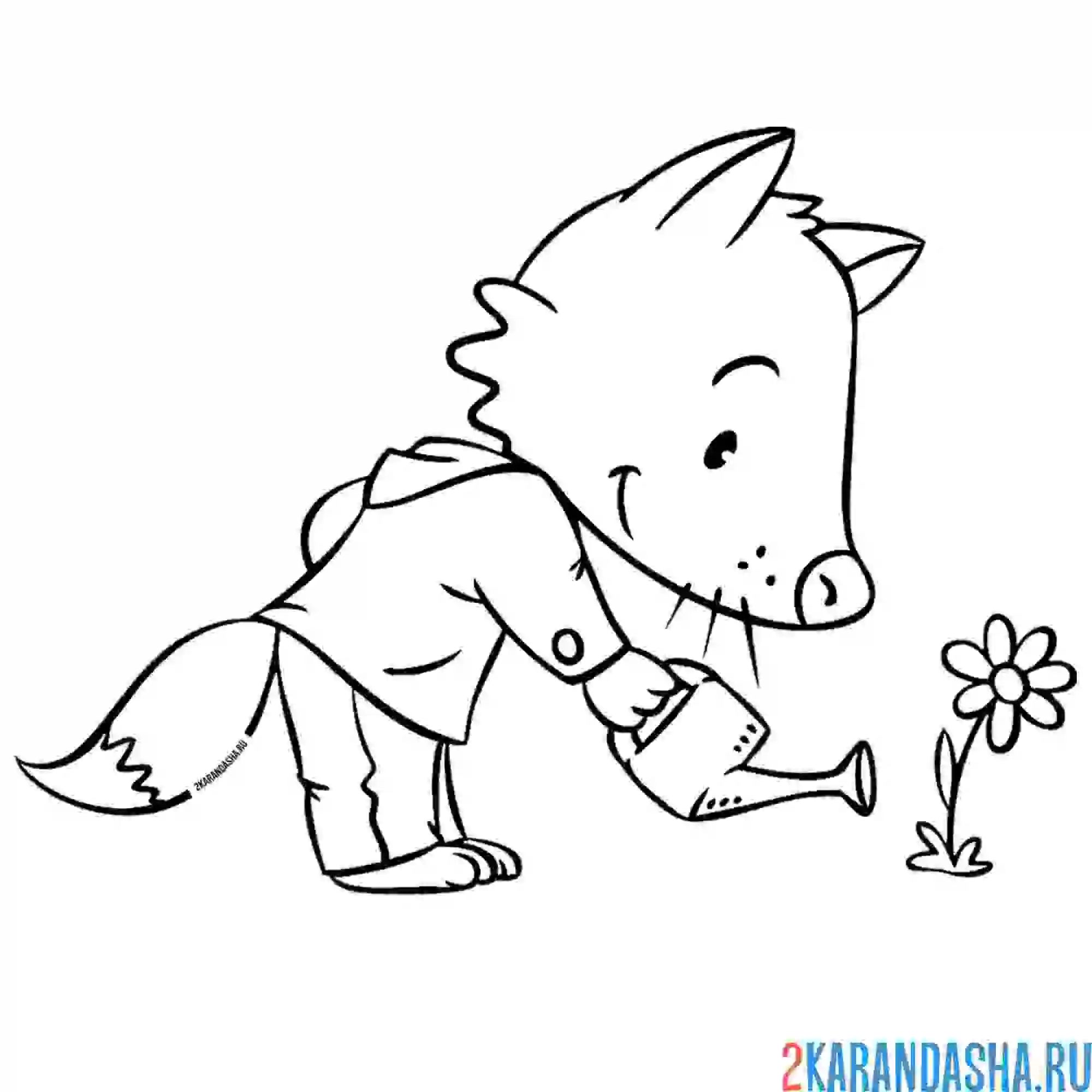 Раскраска лис поливает цветок