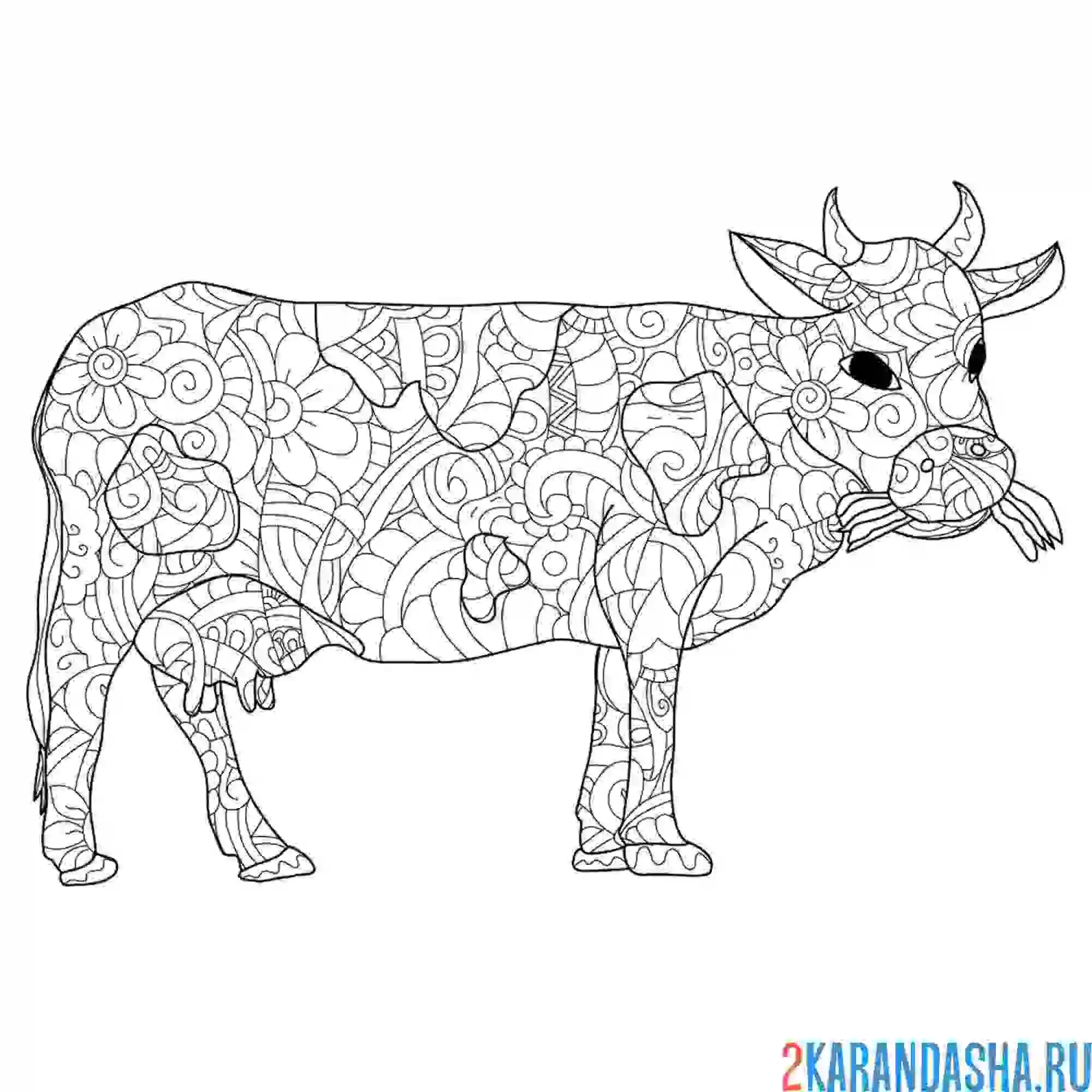 Раскраска корова антистресс