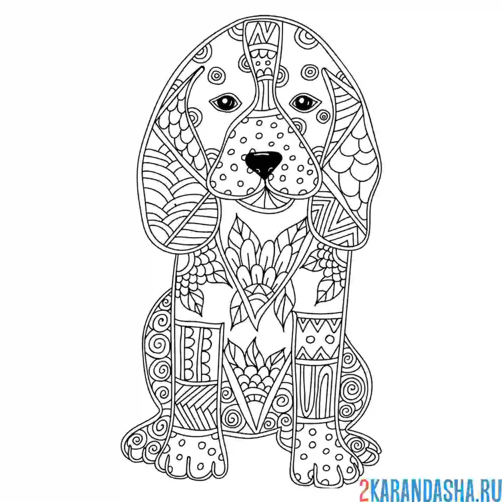 Раскраска животное собака антистресс