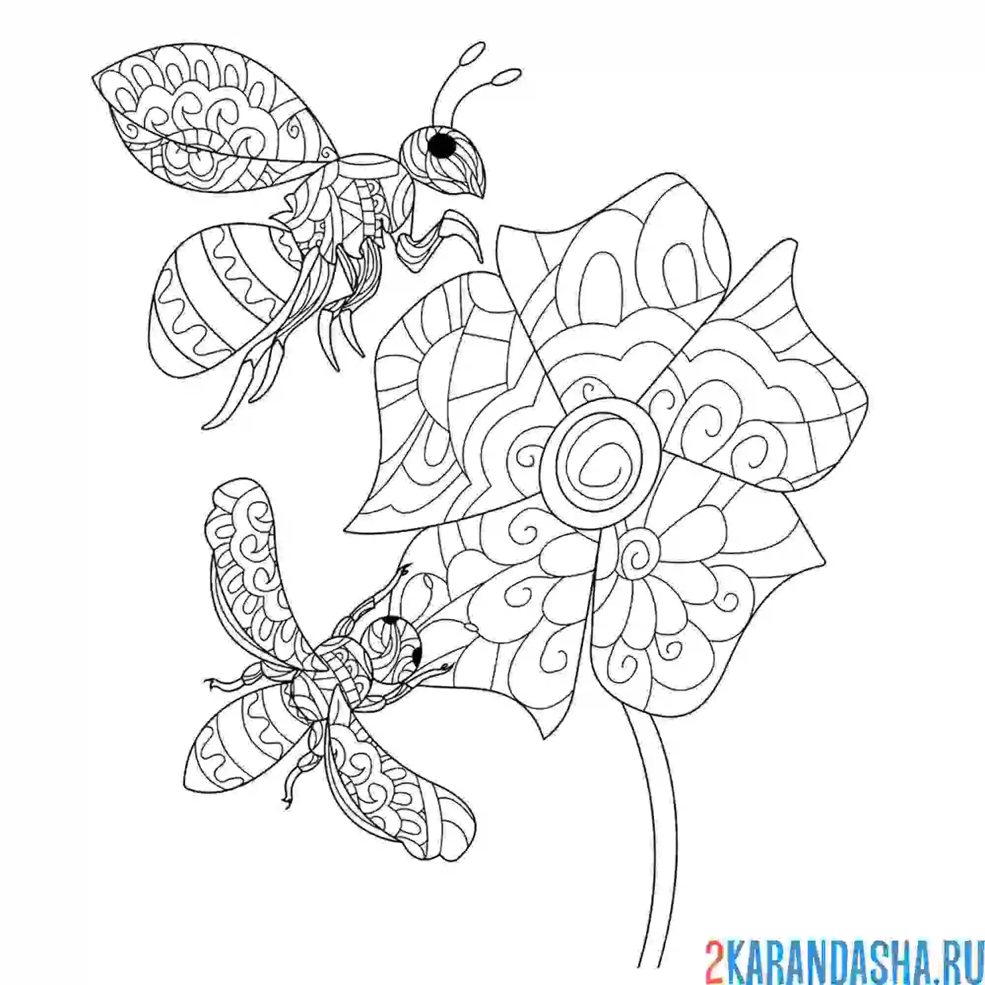 Раскраска шмель, пчелка и цветок антистресс