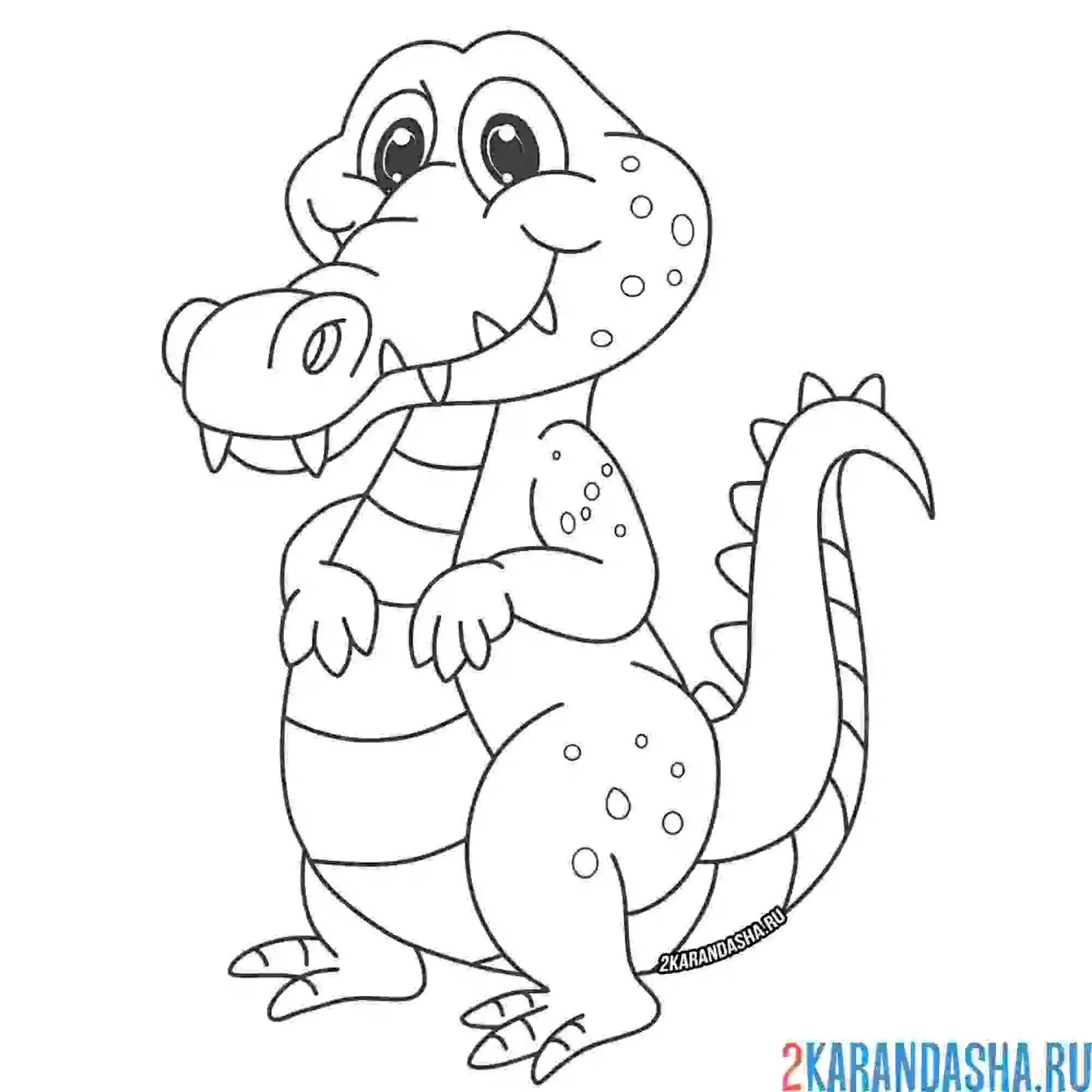 Раскраска зеленый крокодил