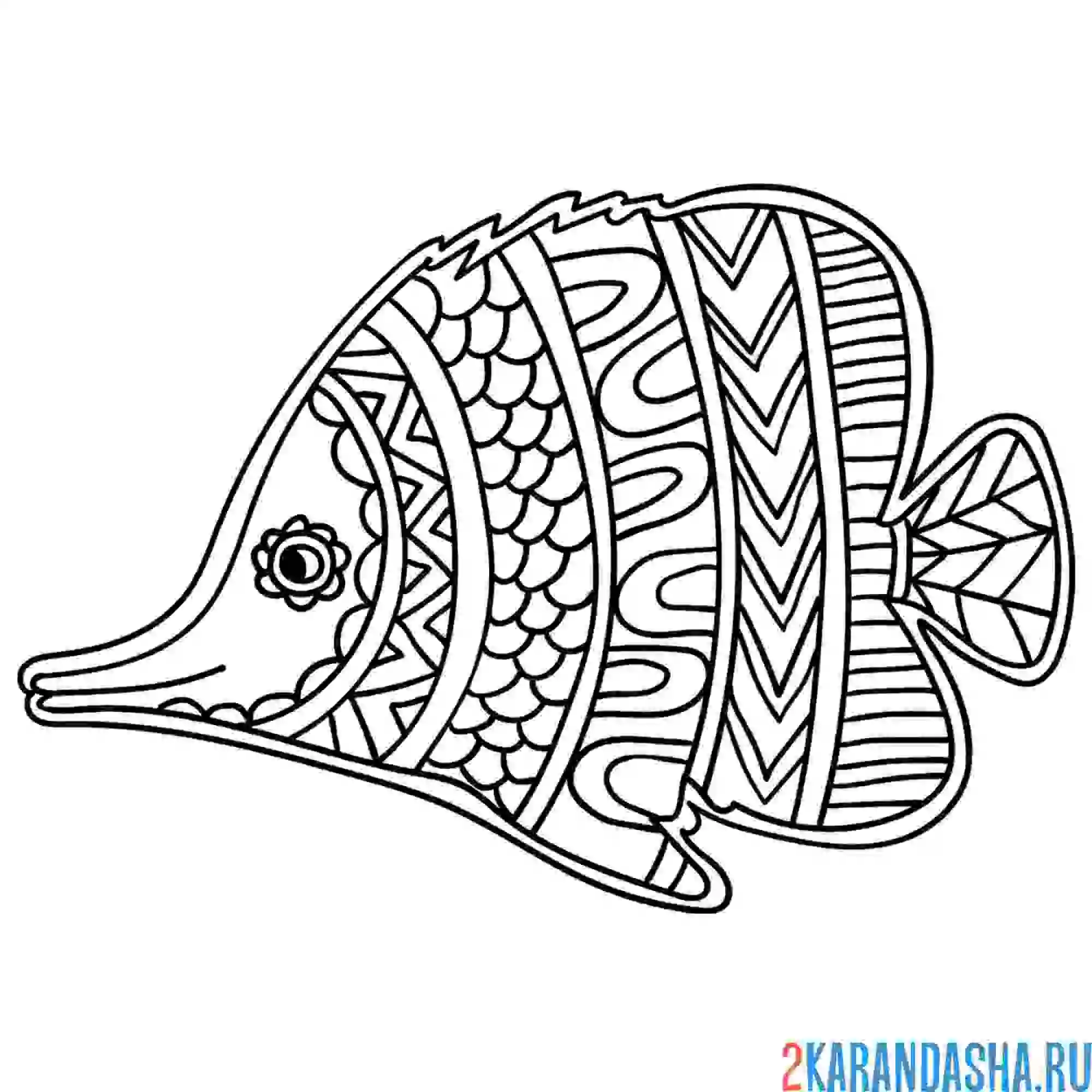 Раскраска морская рыбка антистресс