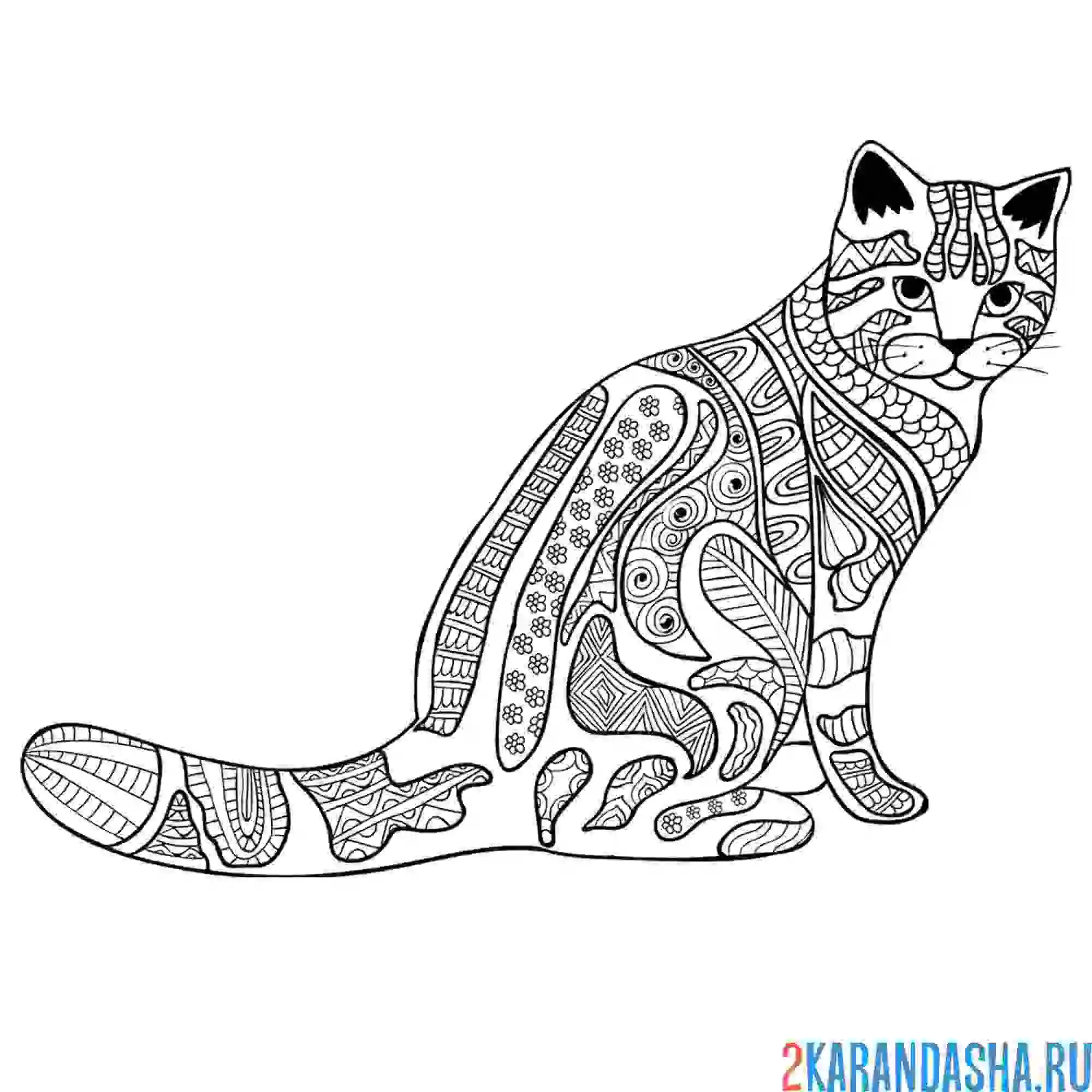 Раскраска животное кот антистресс