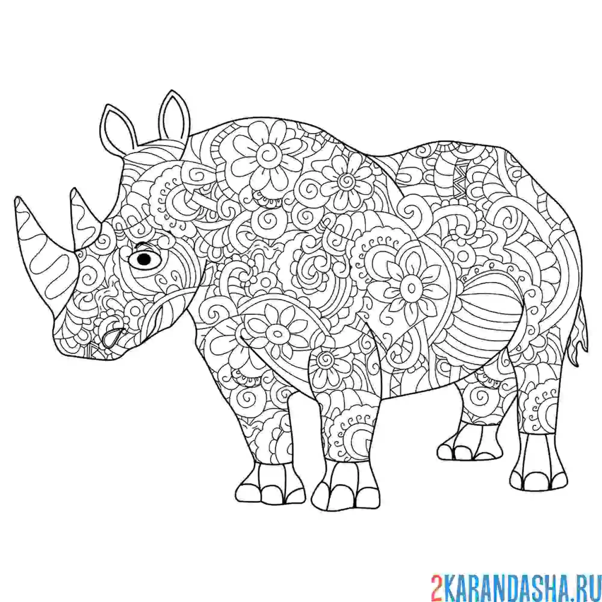Раскраска носорог животное антистресс