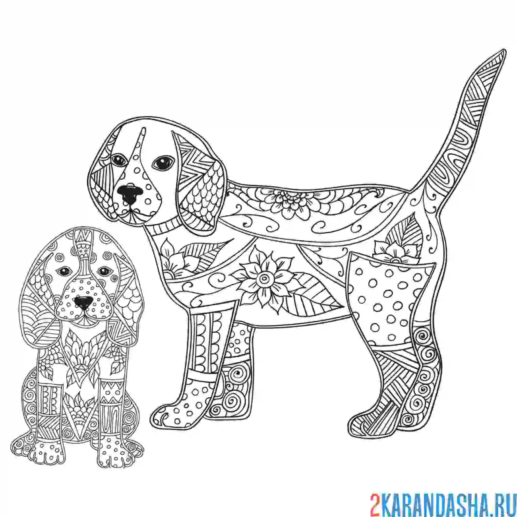 Раскраска животные собачки антистресс
