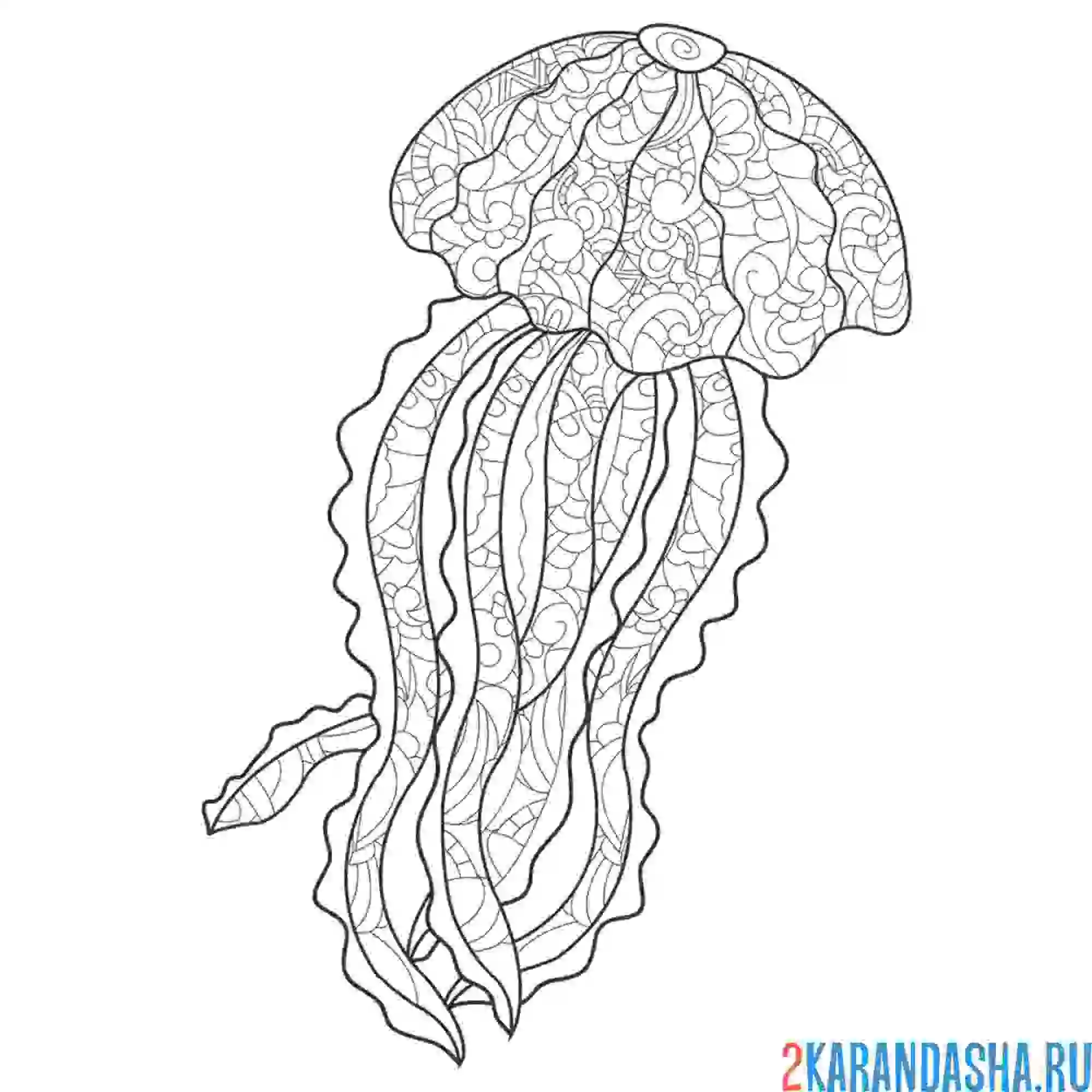 Раскраска большая медуза антистресс