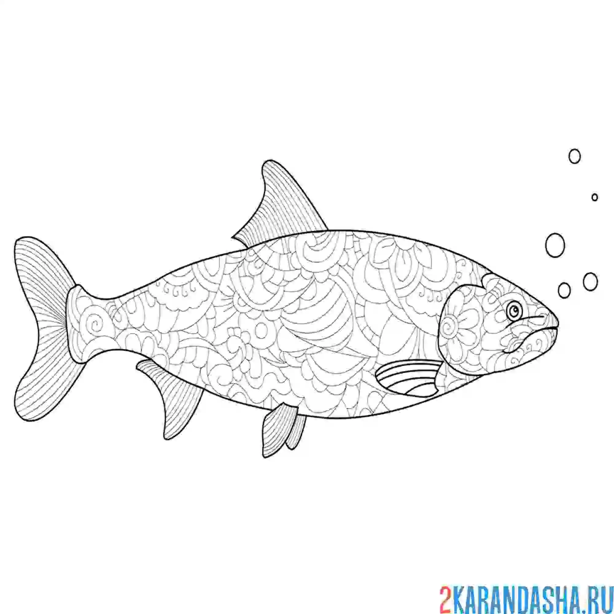 Раскраска рыбка антистресс