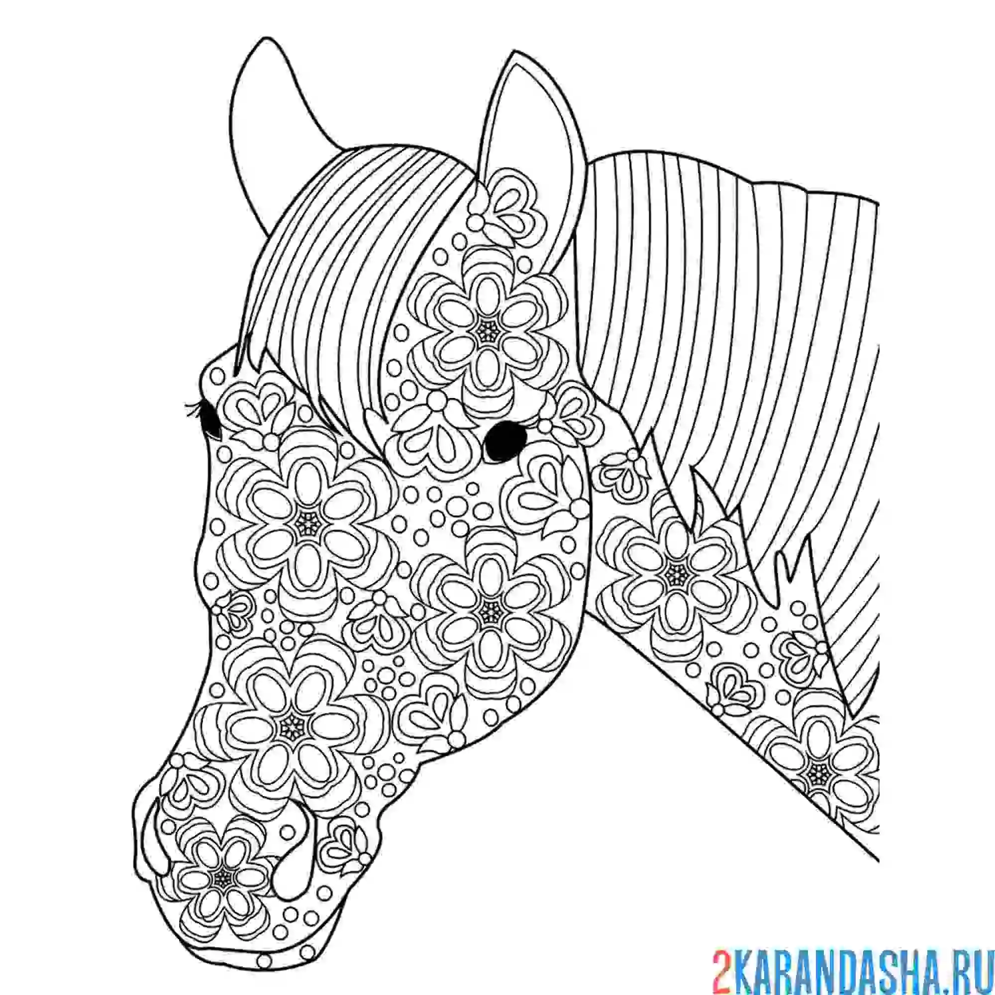 Раскраска лошадь животное антистресс