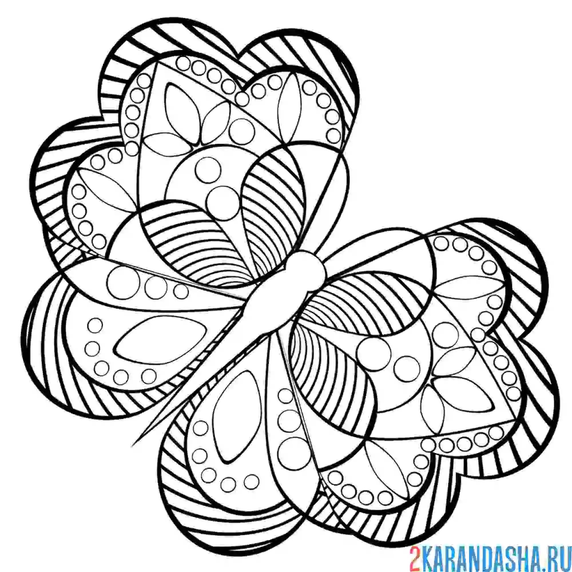 Раскраска милая бабочка антистресс