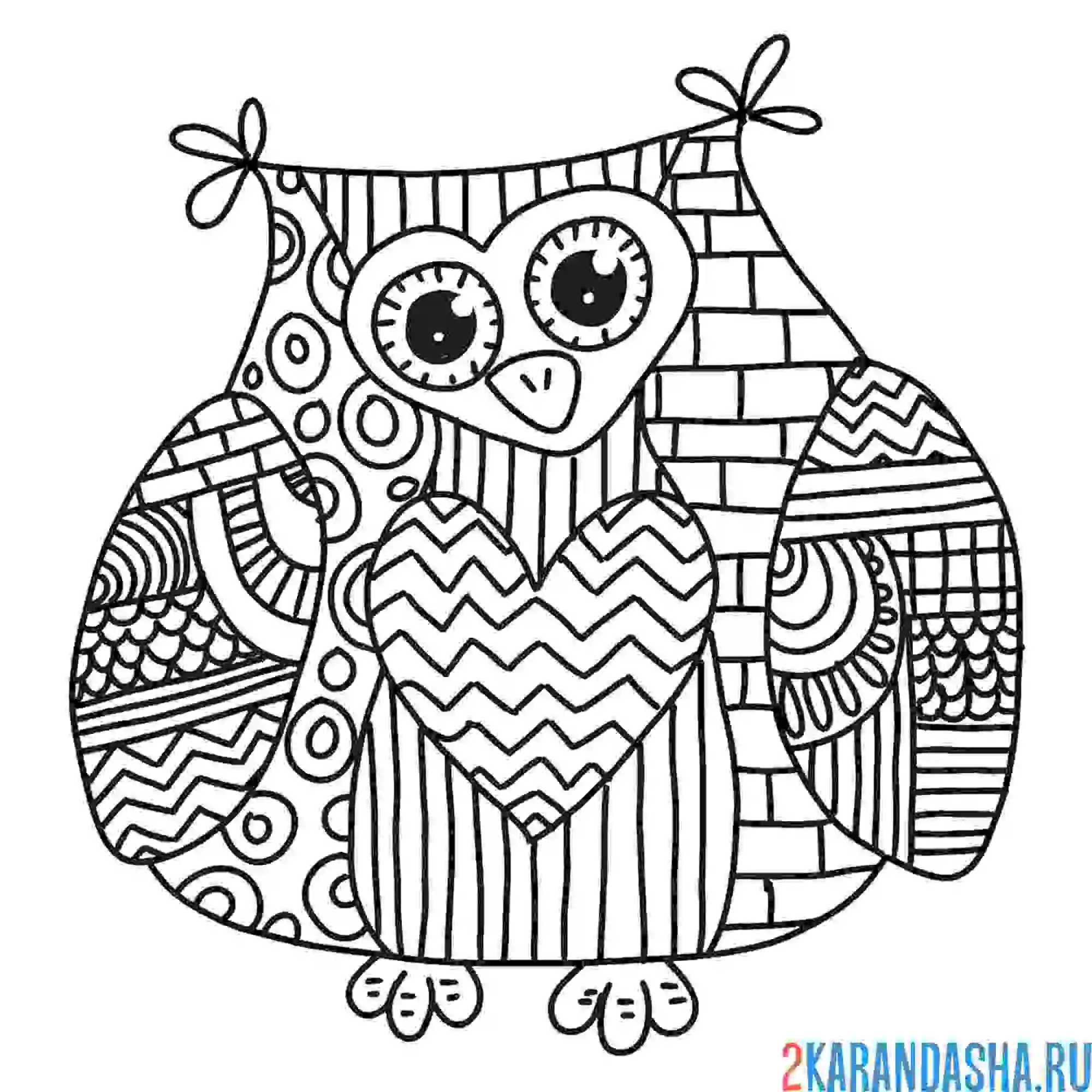 Раскраска смешная сова антистресс