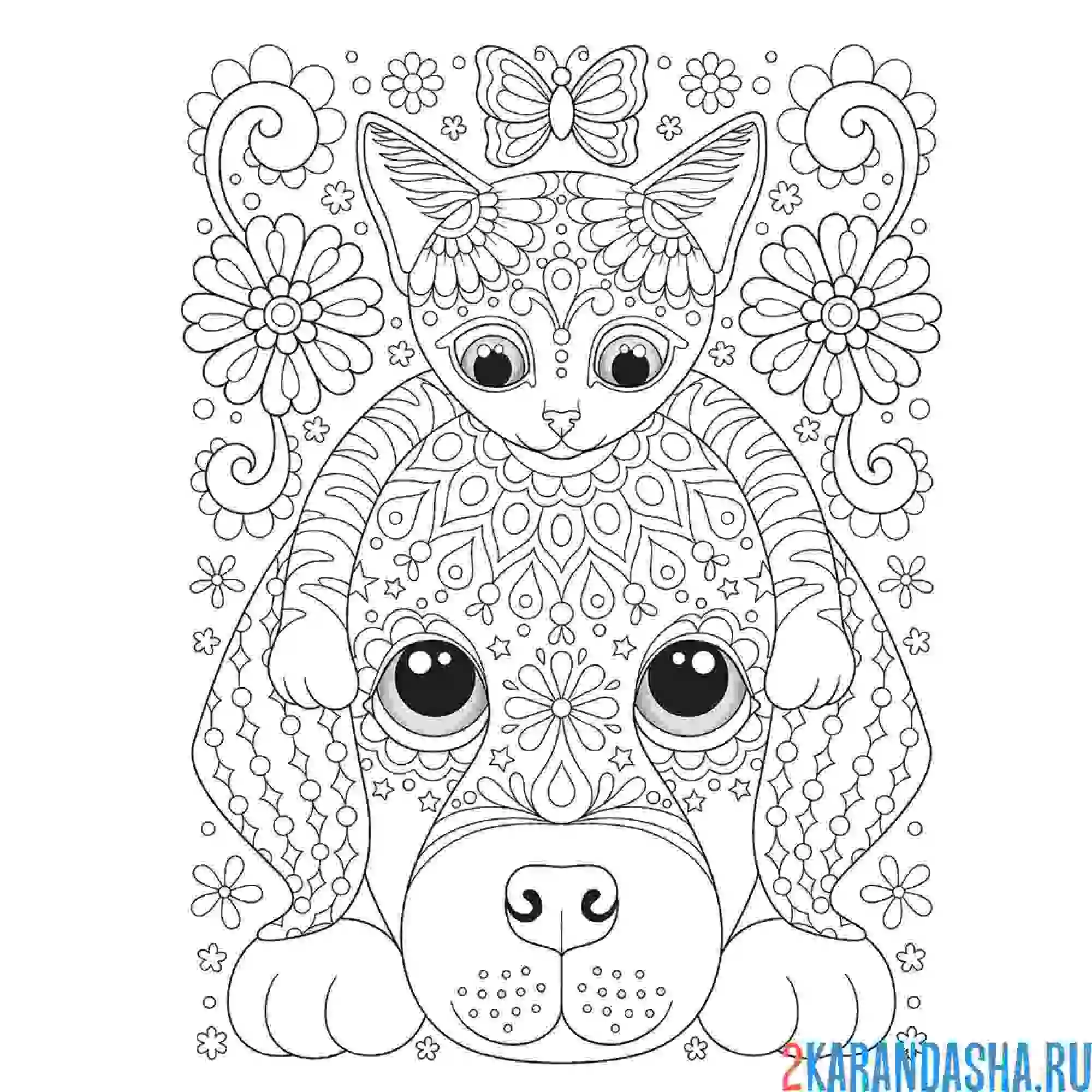 Раскраска чудесные котик и собачка