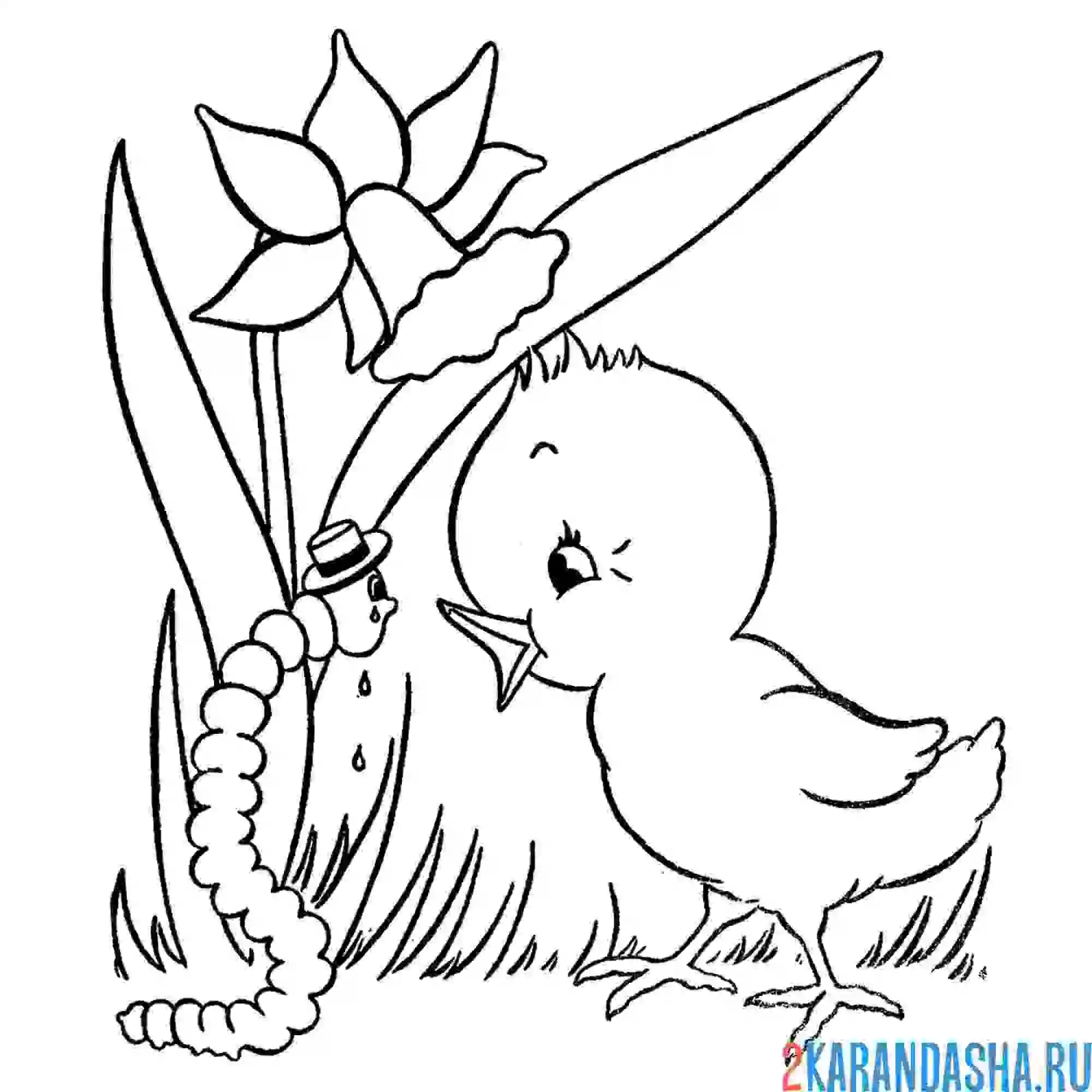 Раскраска весенний цыпленок