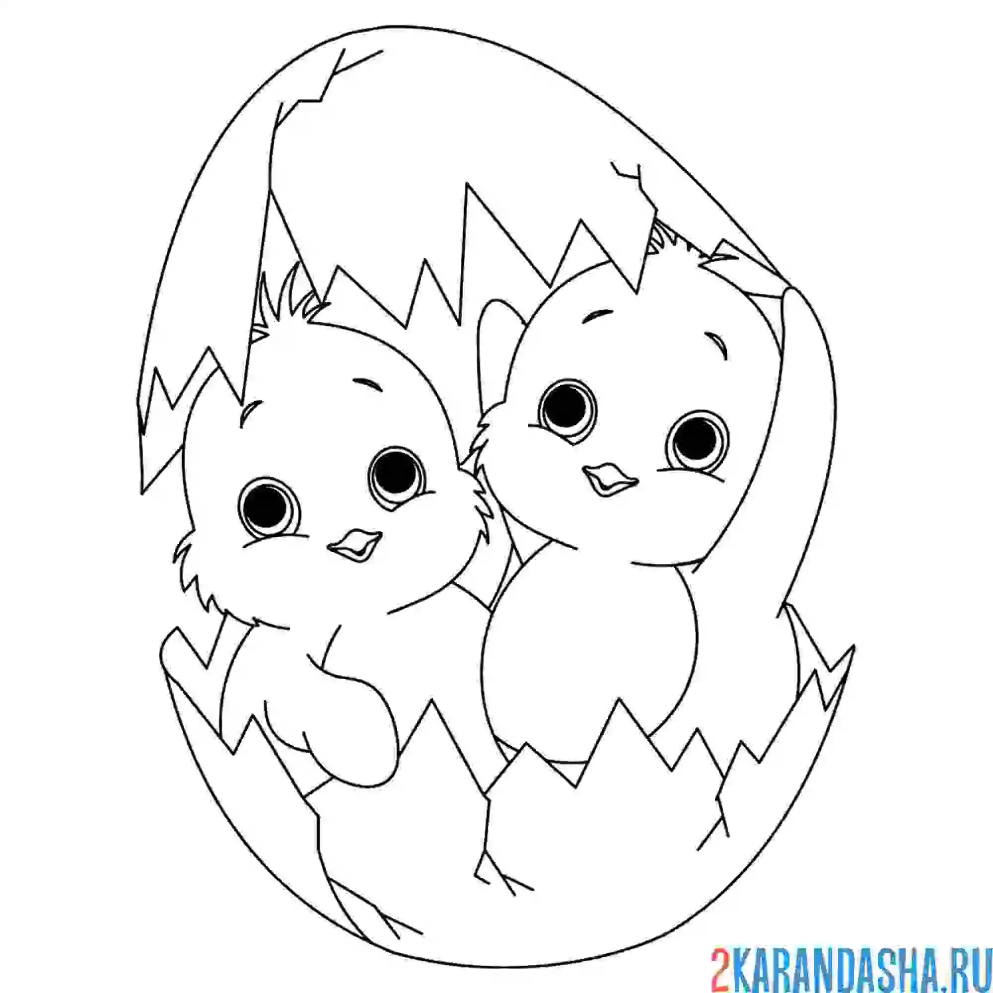 Раскраска весенние птенцы