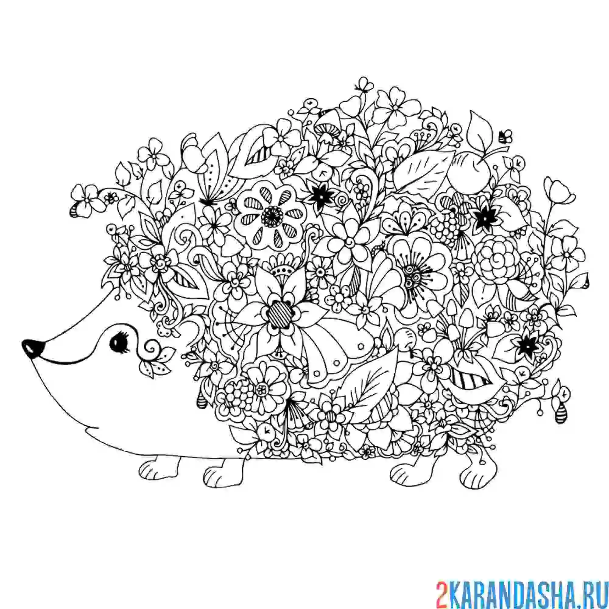 Раскраска ежик из цветов