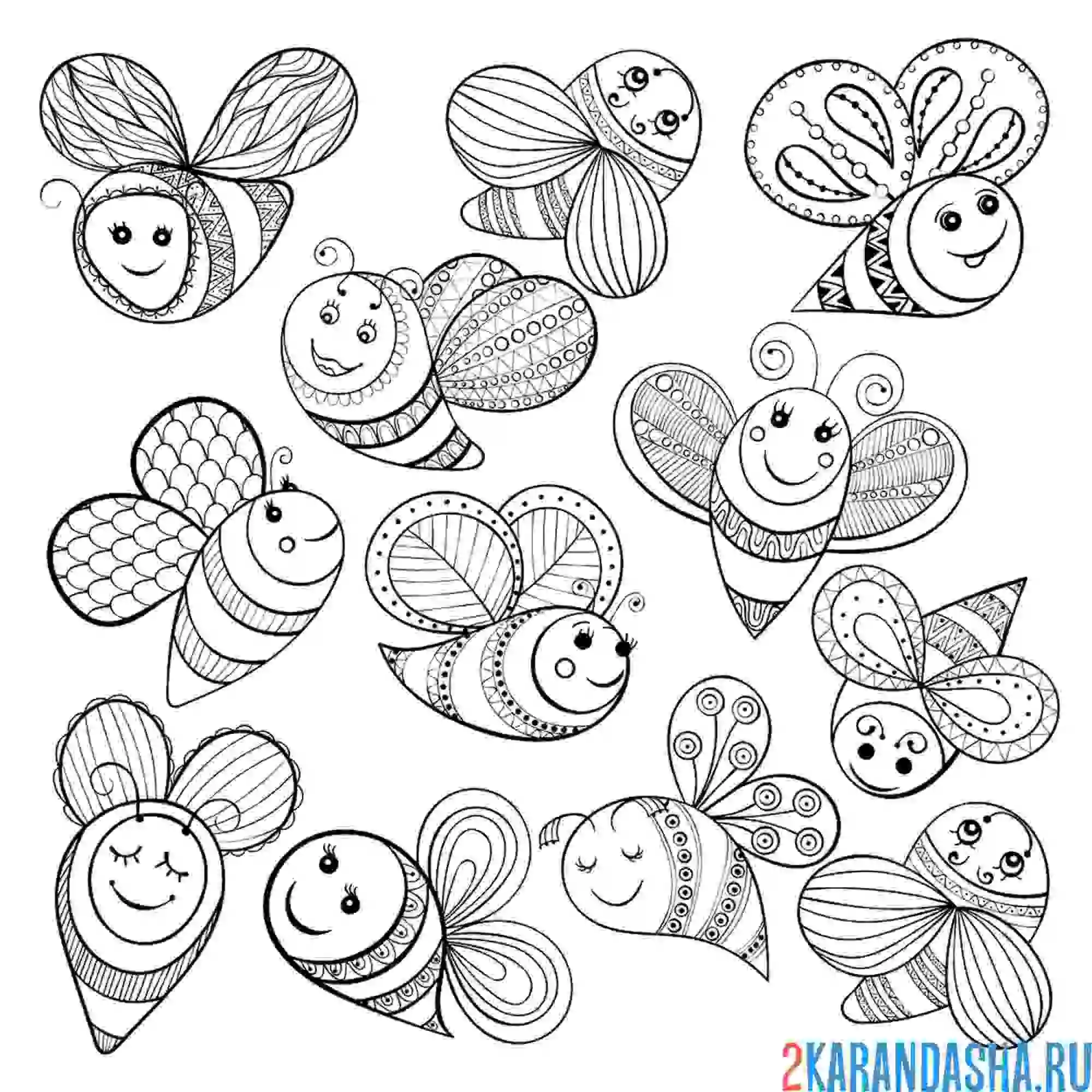 Раскраска бабочки