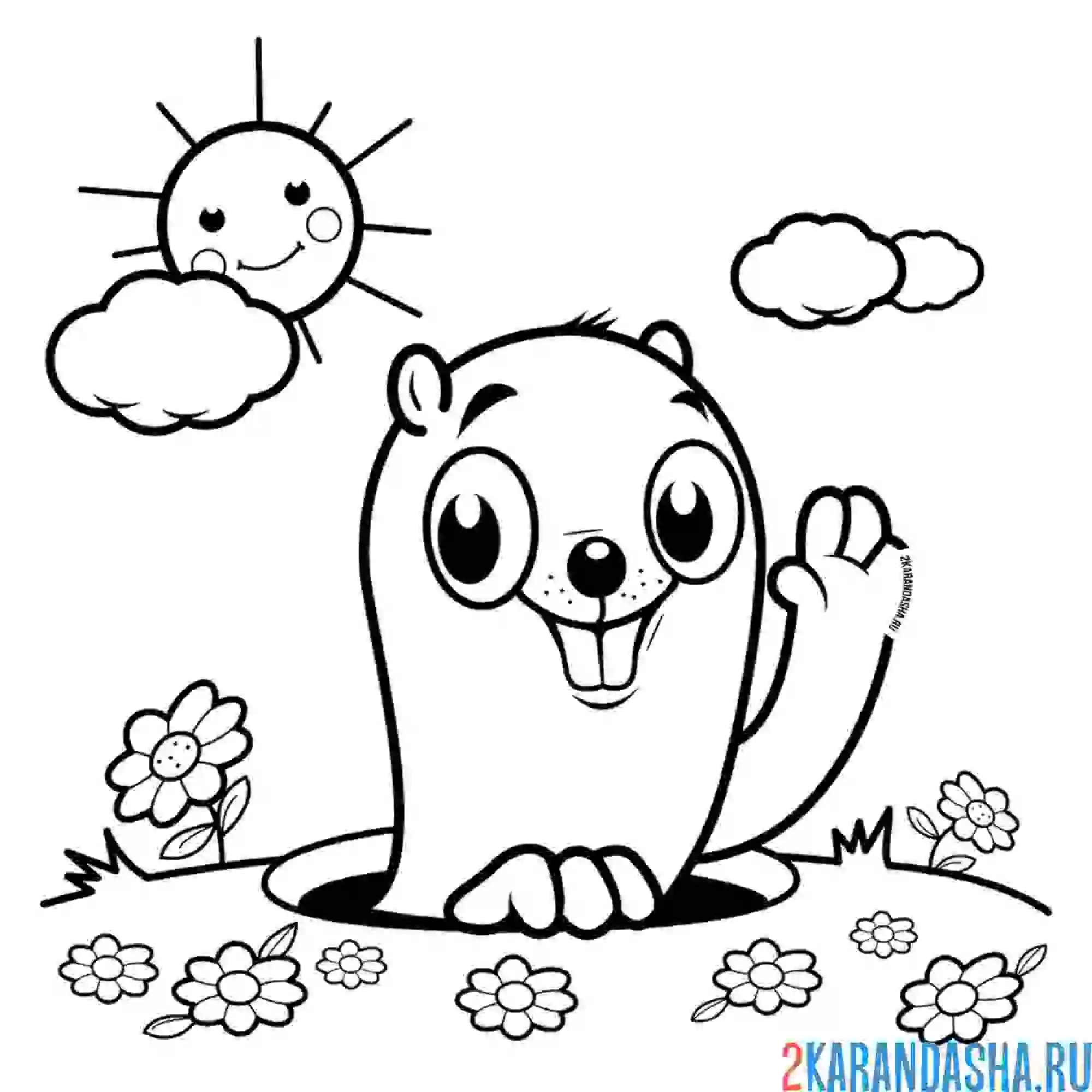Раскраска милый зверек суслик
