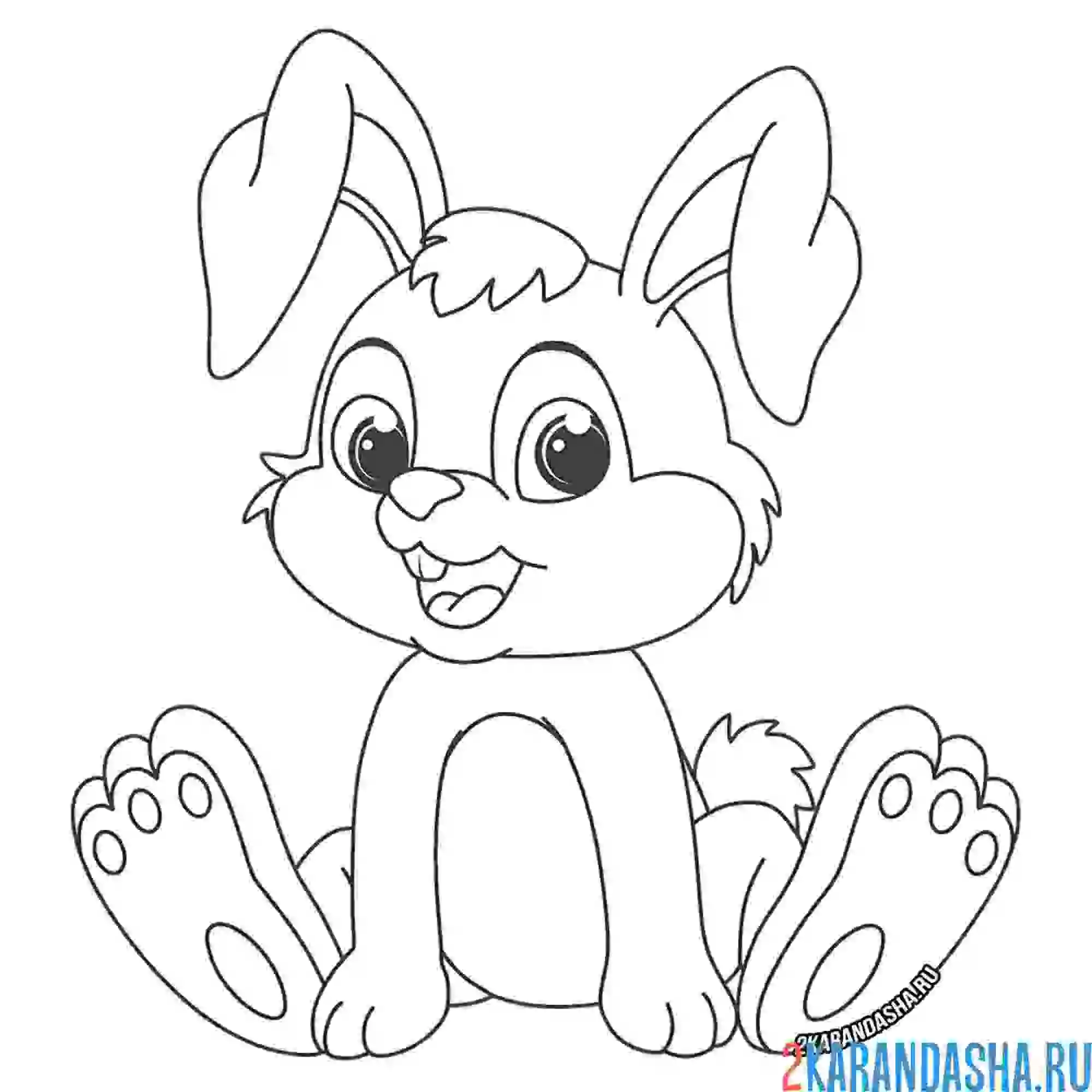Раскраска зайчик сидит