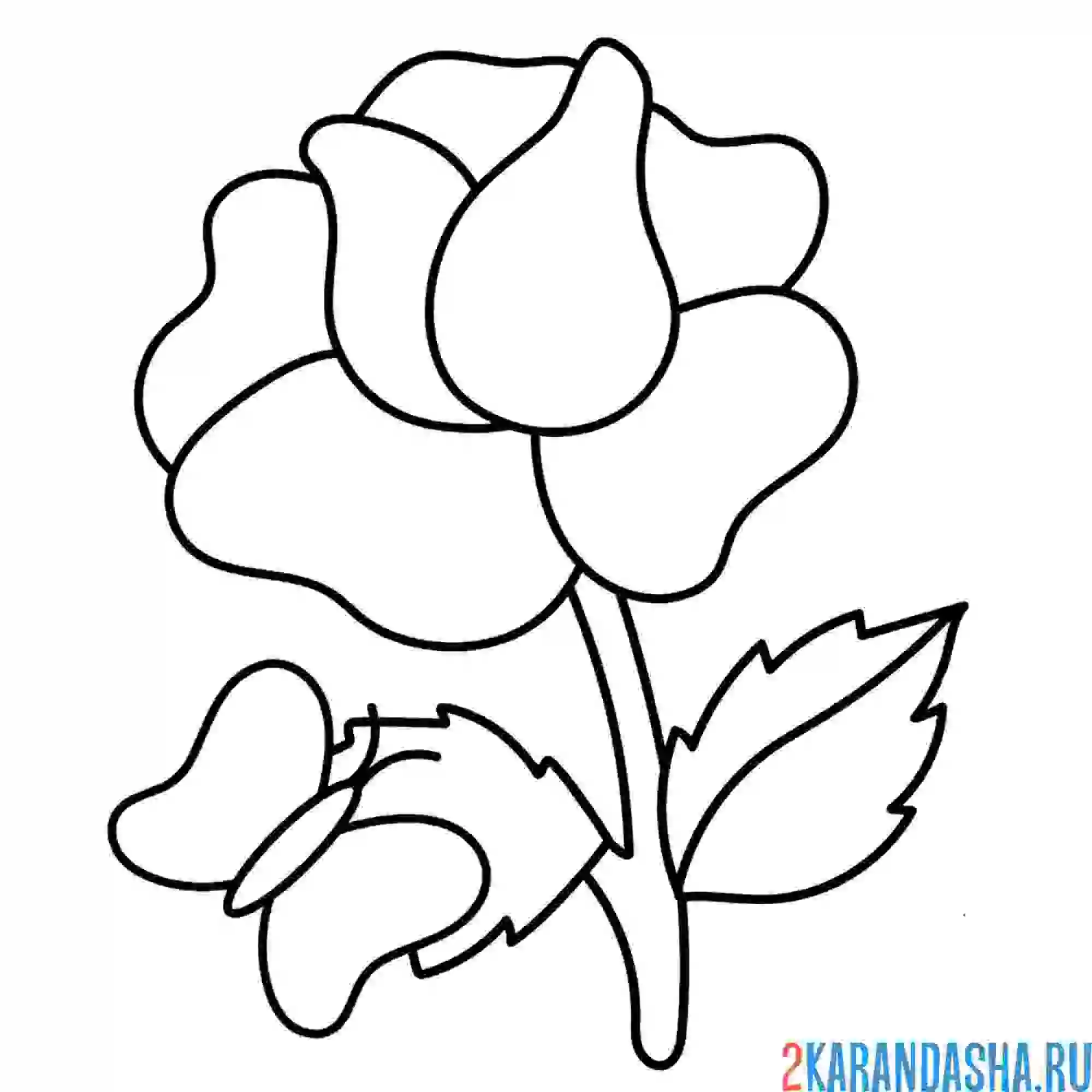 Раскраска цветок и бабочка