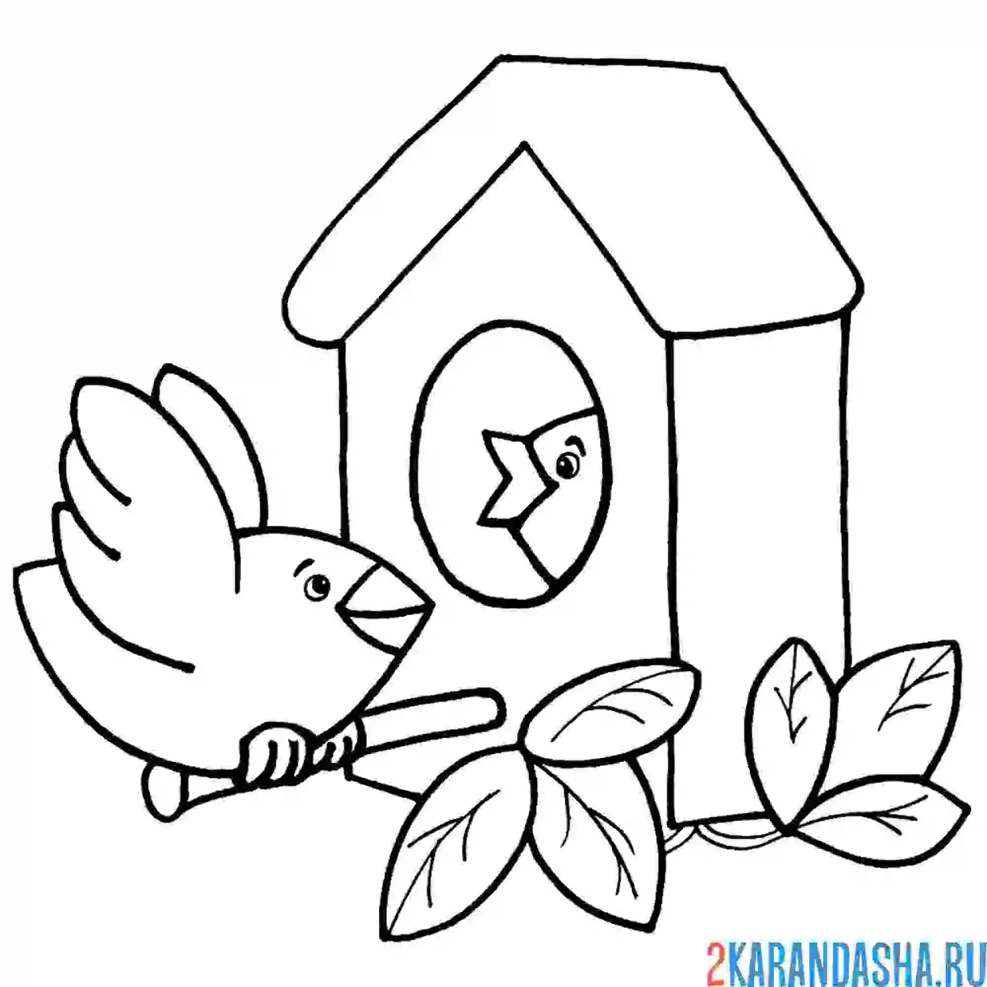 Раскраска птичка и птенцы