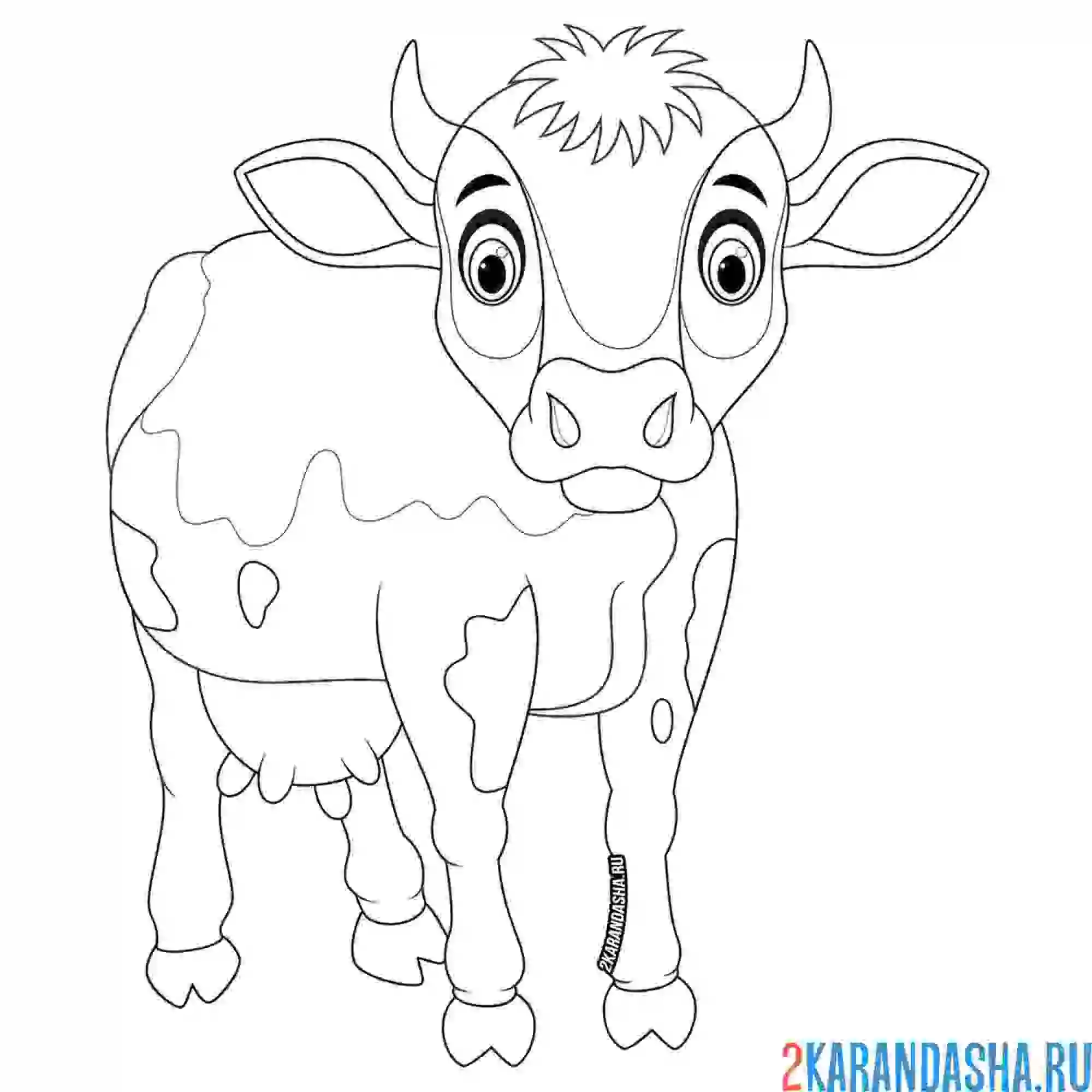 Раскраска маленькая коровка