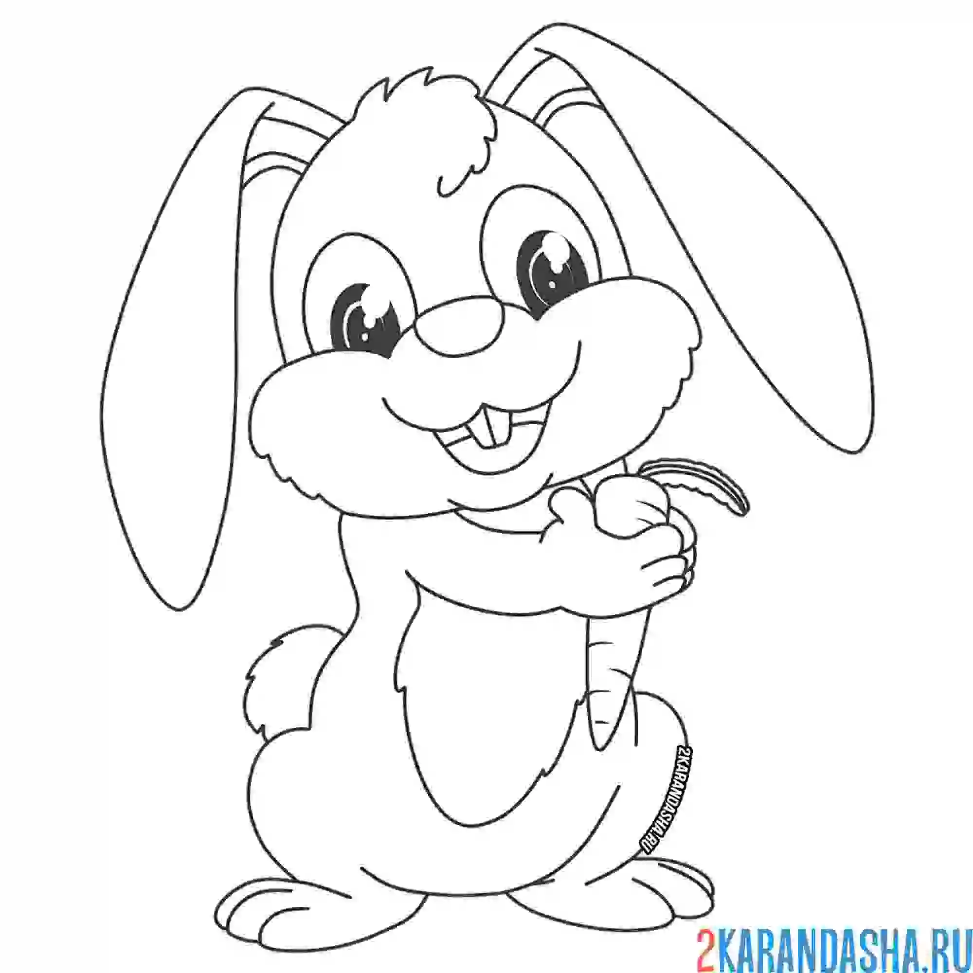 Раскраска заяц держит морковку