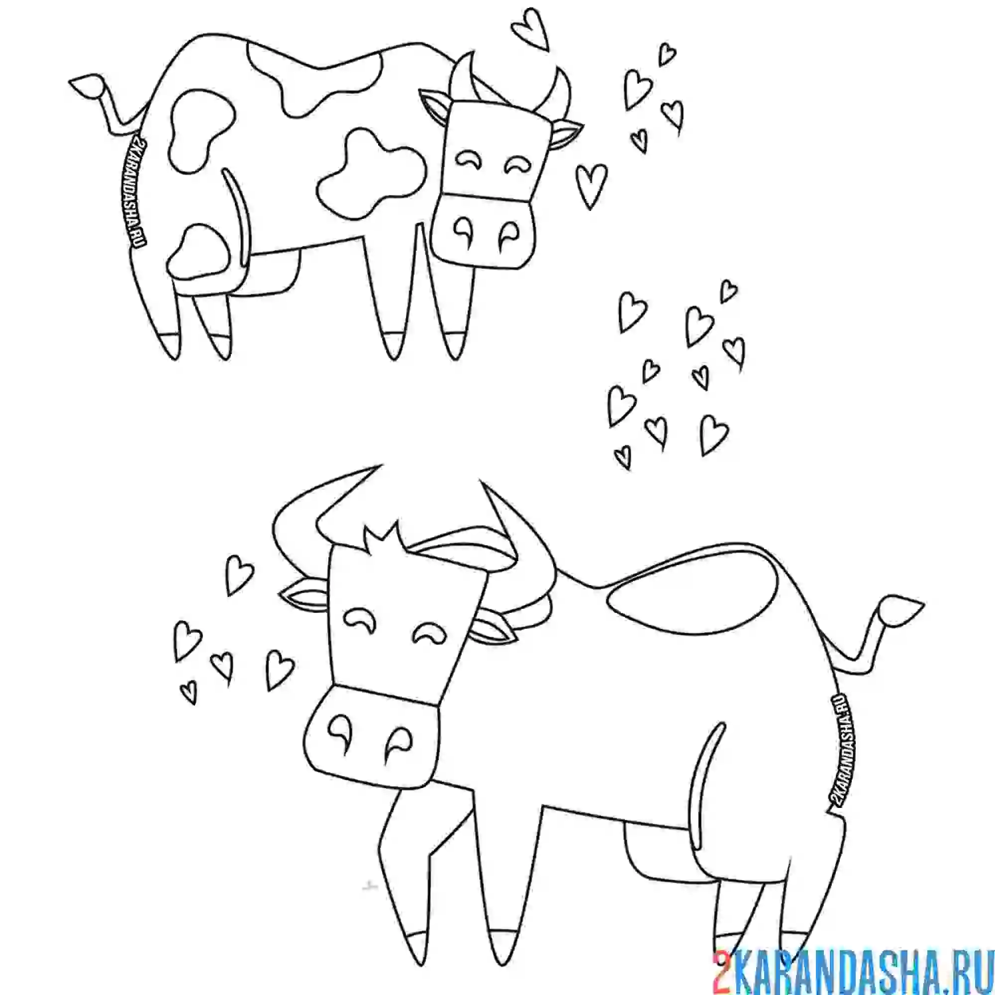 Раскраска влюбленная парочка быка и коровки