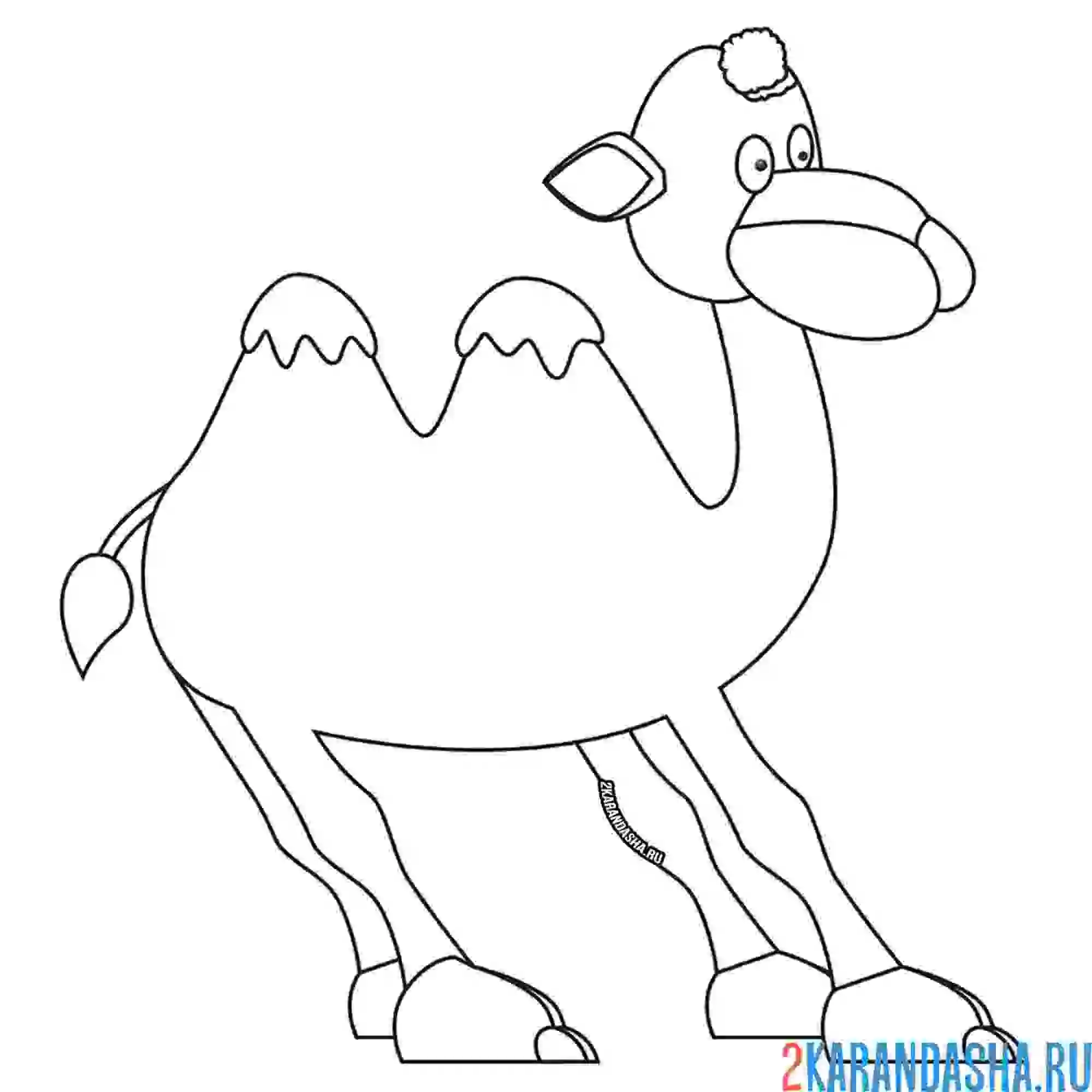 Раскраска верблюд падает