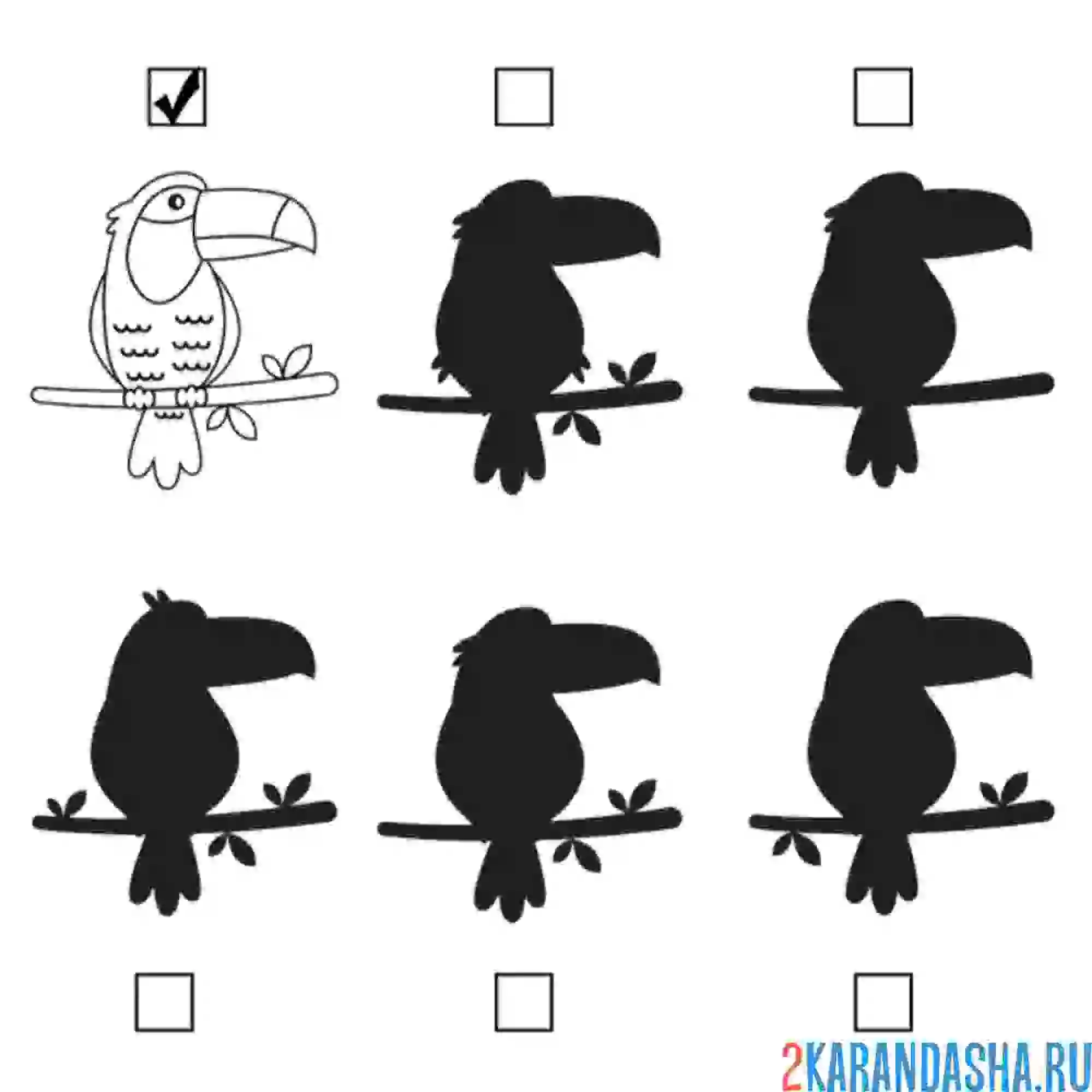 Раскраска птичка