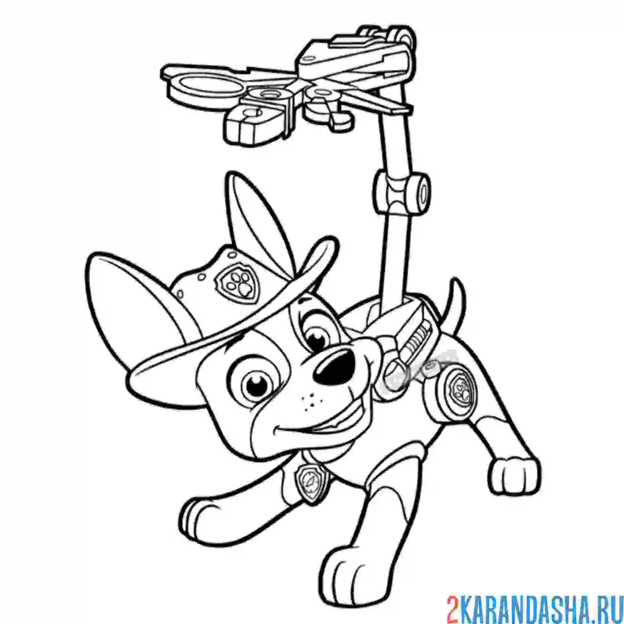 Раскраска веселый щенок трекер