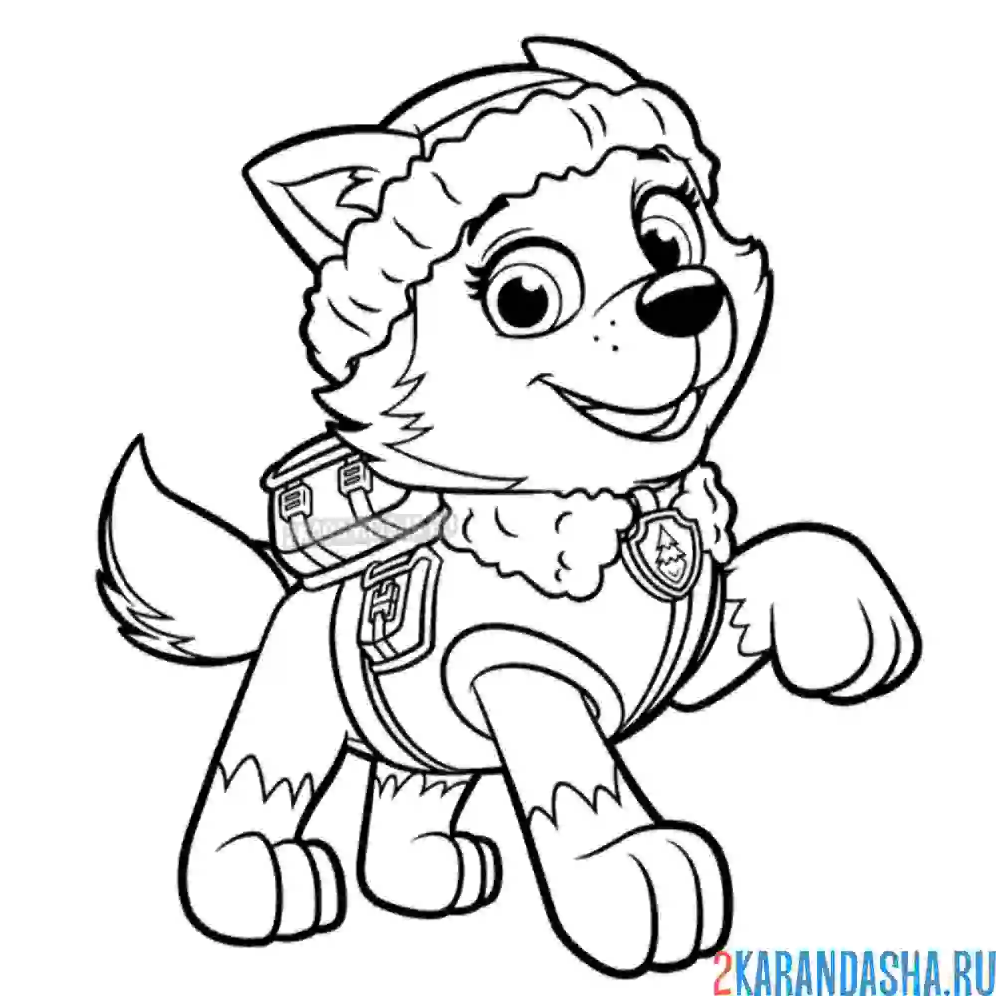 Раскраска красивая эверест