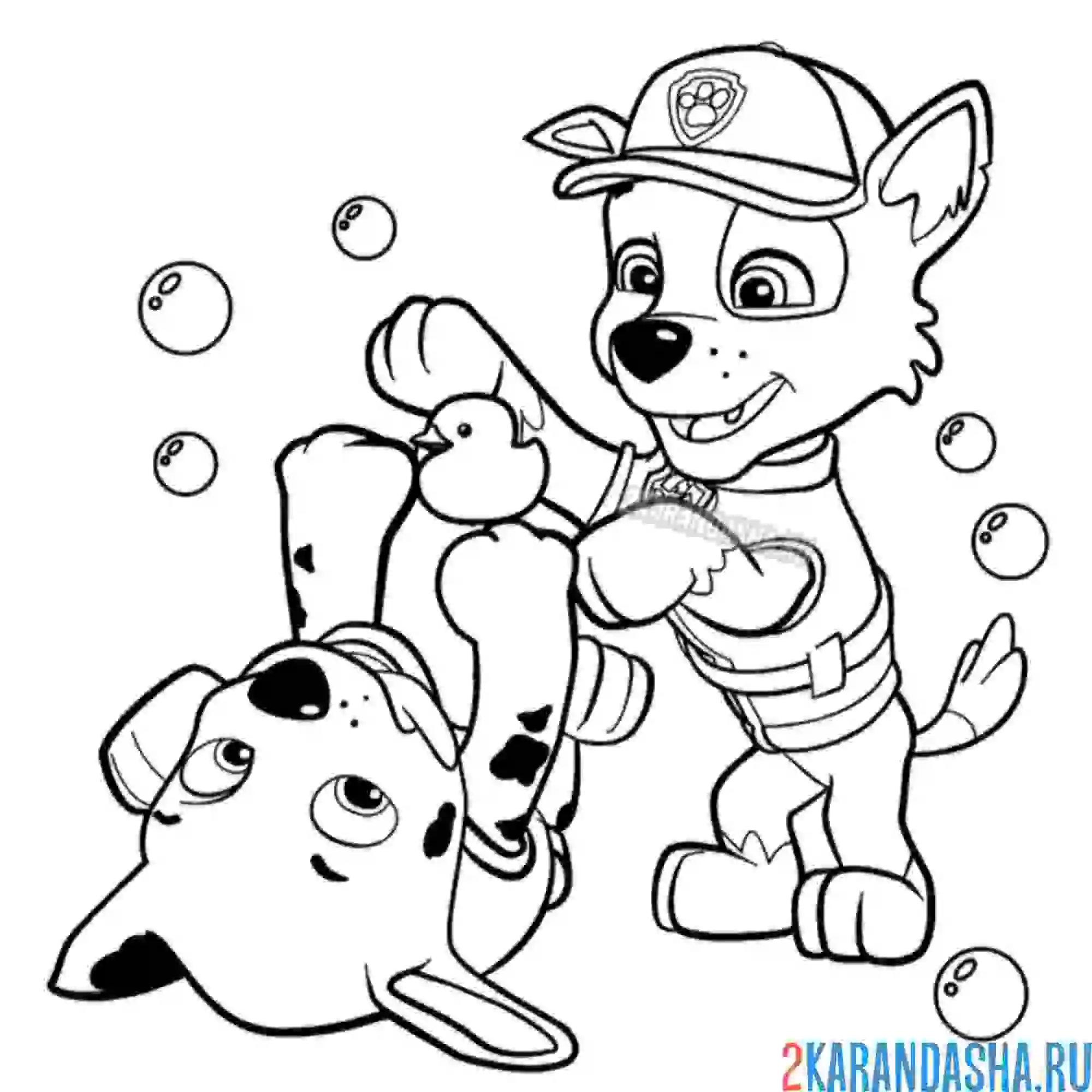 Раскраска рокки и маршал