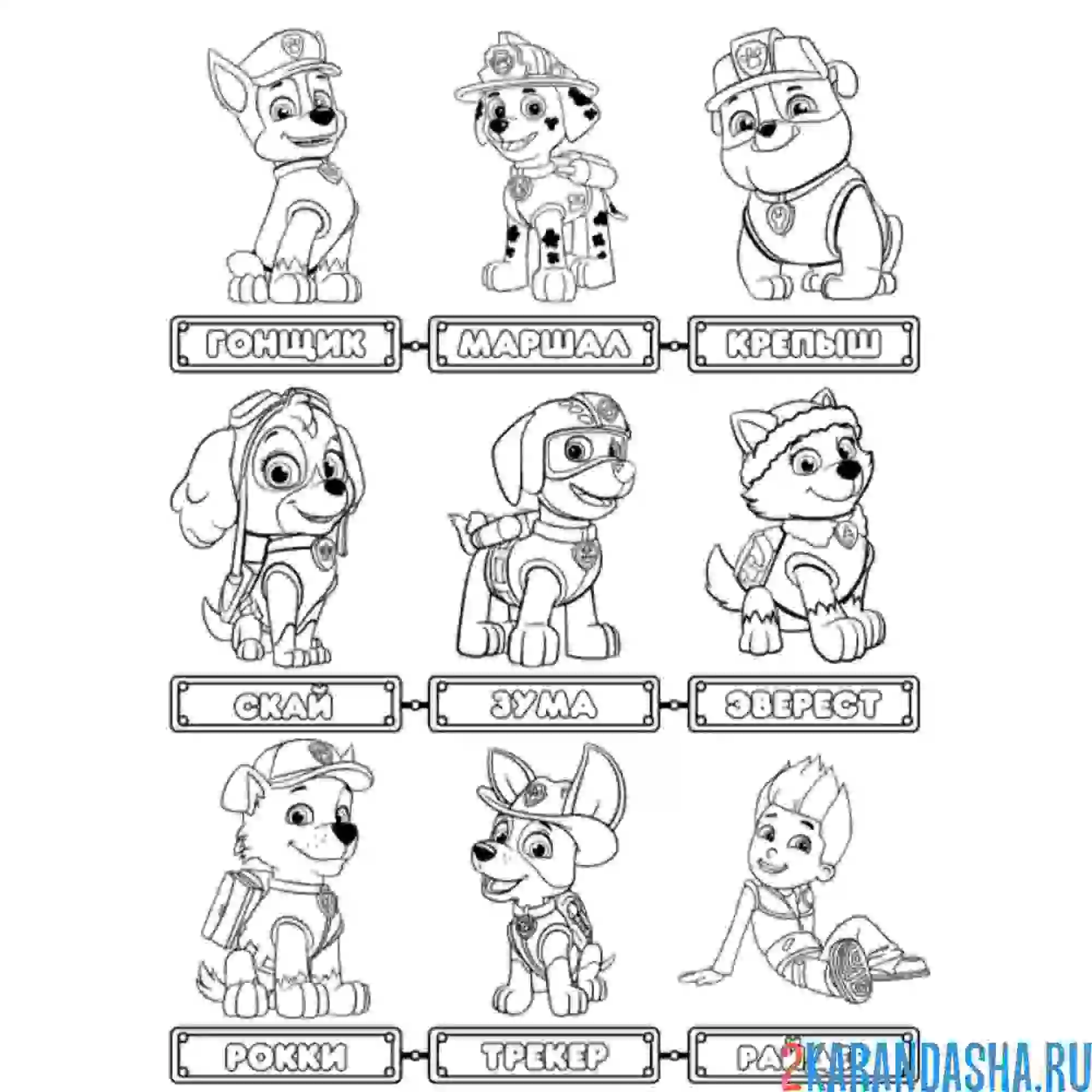 Раскраска все герои с именами на одной картинке и райдер