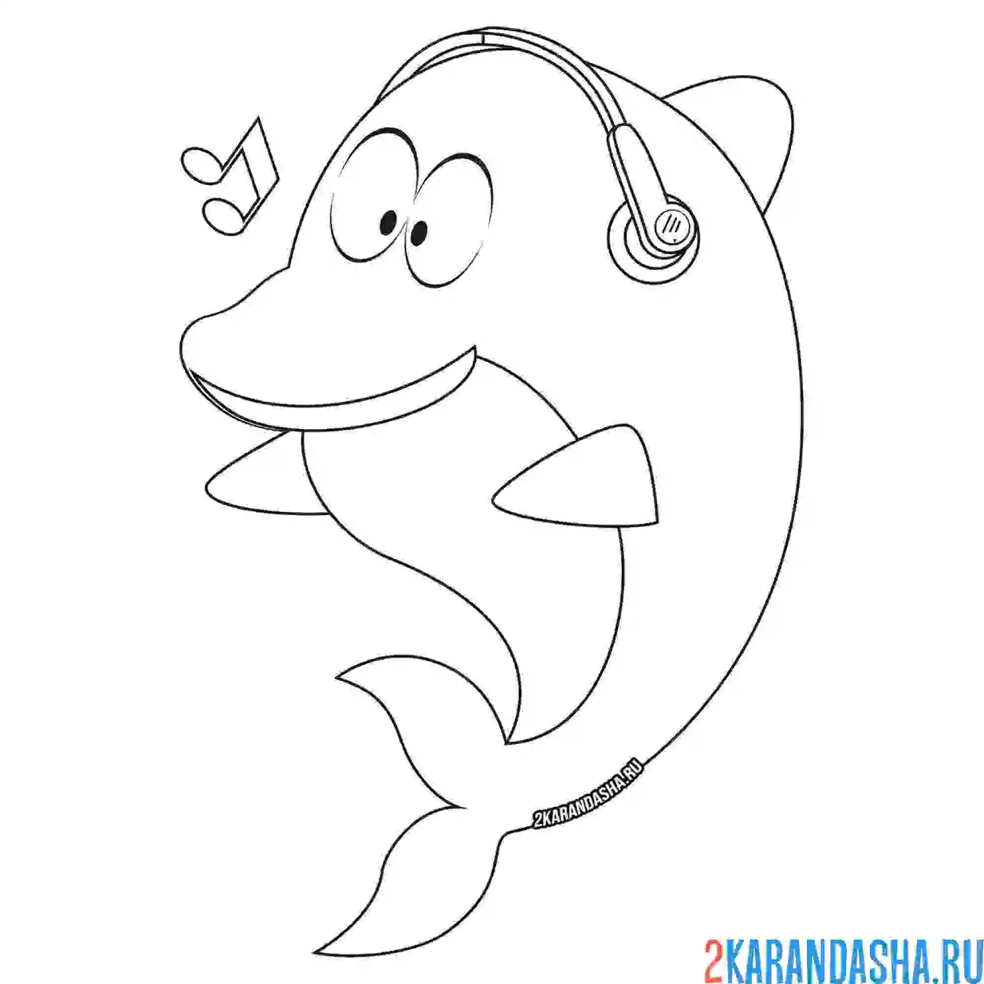 Раскраска слушает музыку дельфин