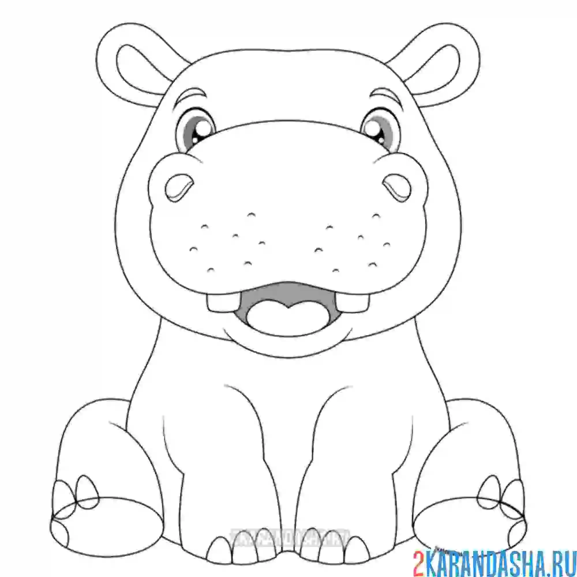 Раскраска милый бегемотик